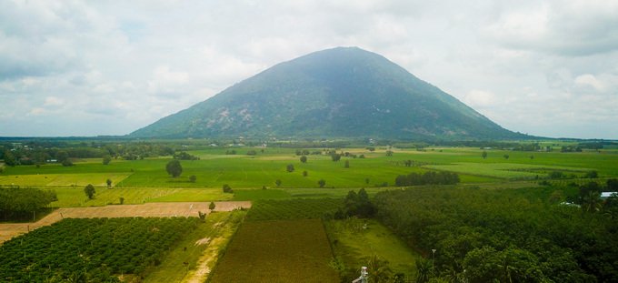 Vườn nho rộng hàng nghìn m2 mở cửa miễn phí ở Tây Ninh