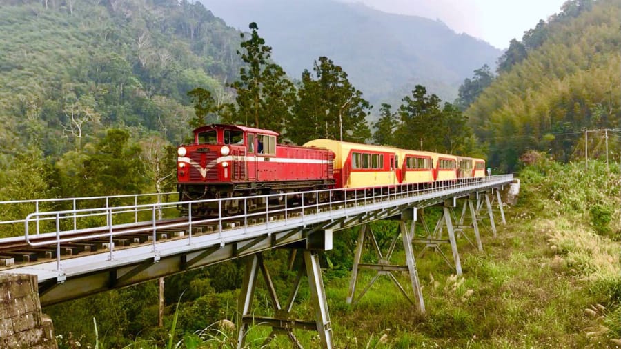 Alishan Railway - chốn bồng lai tiên cảnh cho kẻ lữ hành mộng mơ