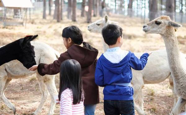 Zoodoo – sở thú thân thiện theo phong cách Úc cực thú vị ở Lâm Đồng