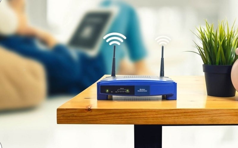 Râu WiFi có tác dụng gì? Cách chọn râu WiFi phù hợp với nhu cầu