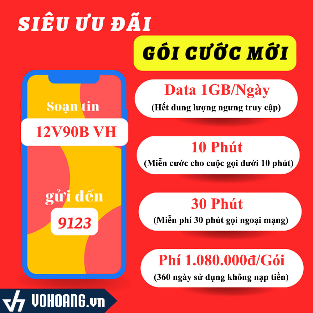 Tổng quan sim Viettel 12V90B