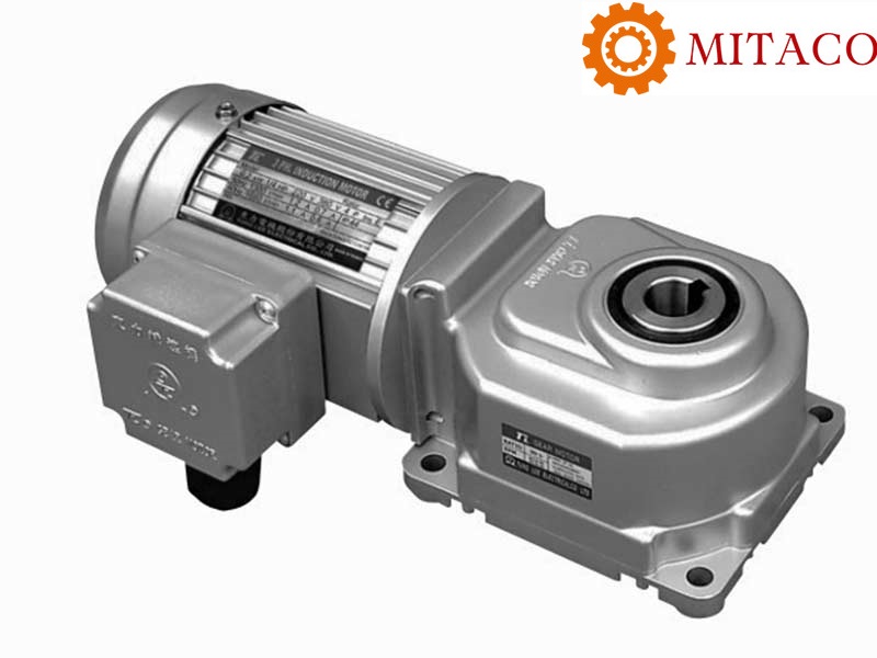 Mẫu motor liền hộp giảm tốc mặt bích