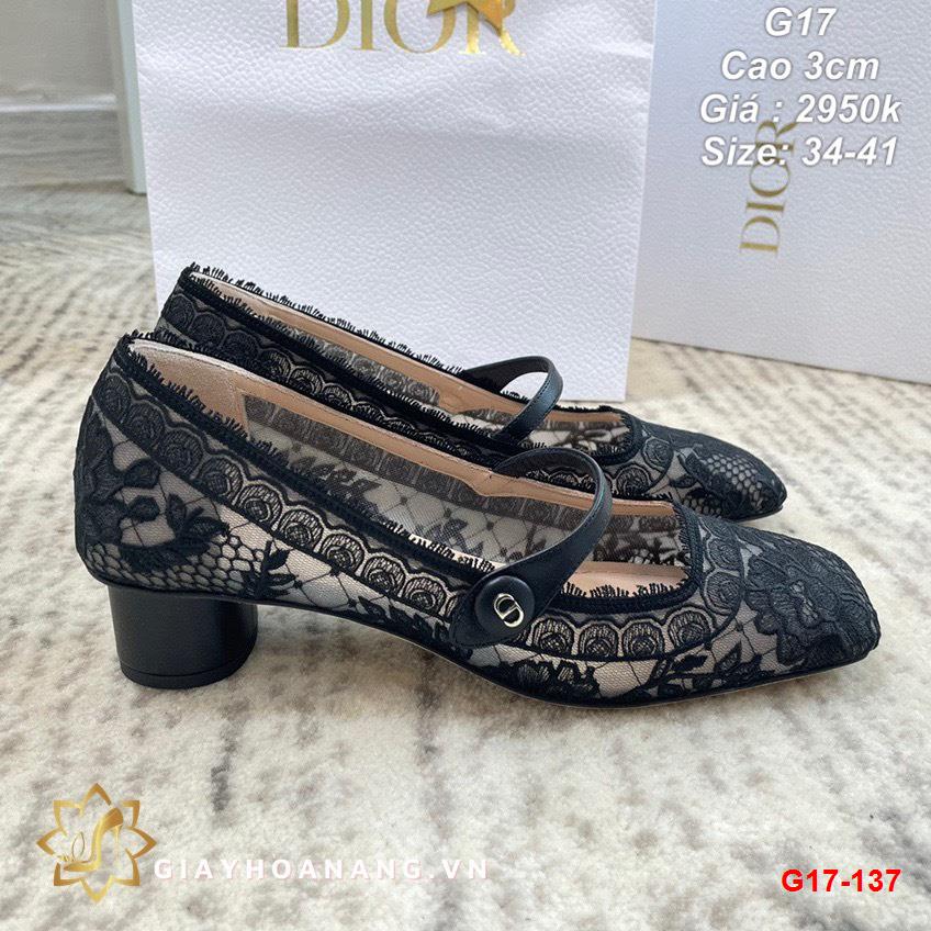 G17-137 Dior giày cao 3cm siêu cấp