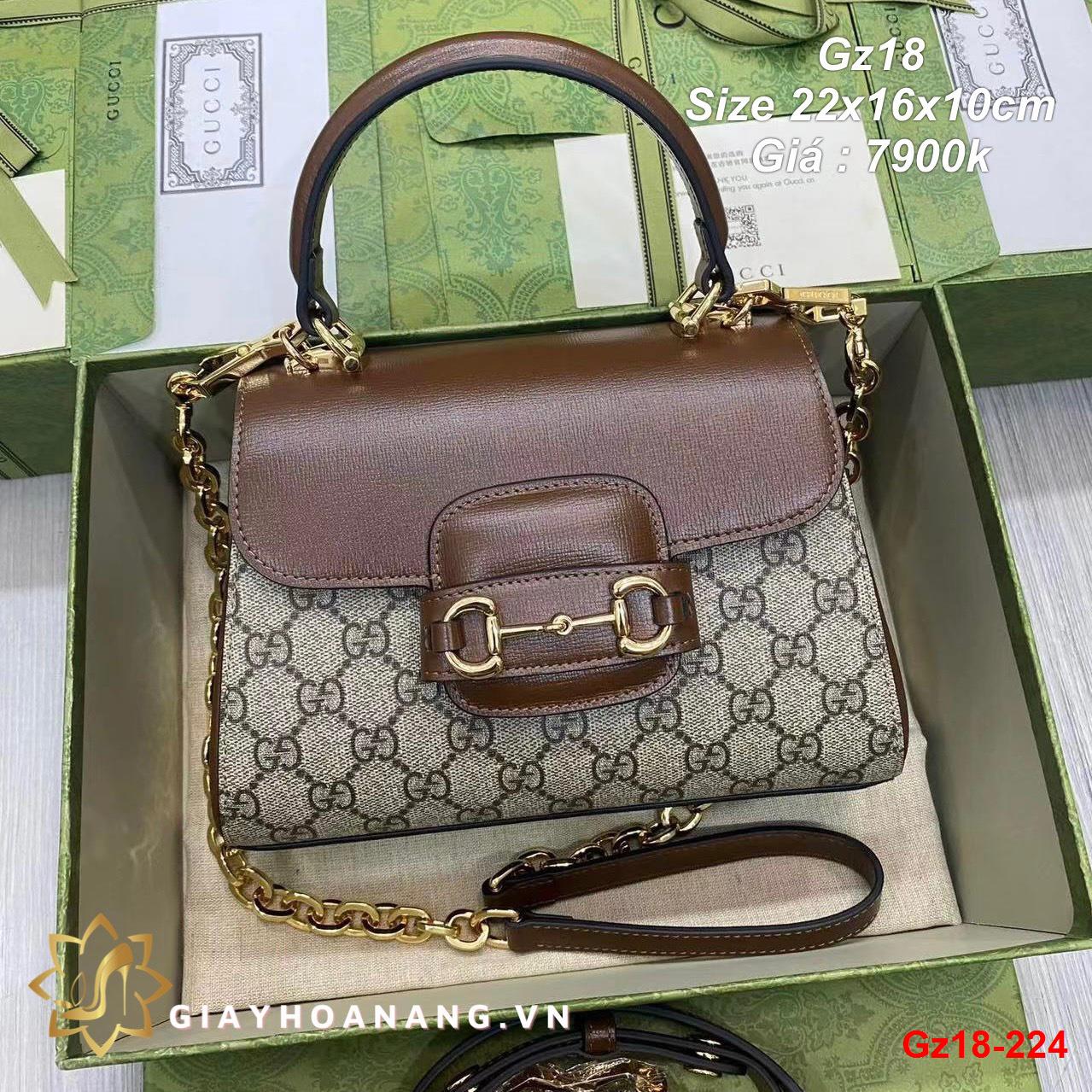 Gz18-224 Gucci túi size 22cm siêu cấp