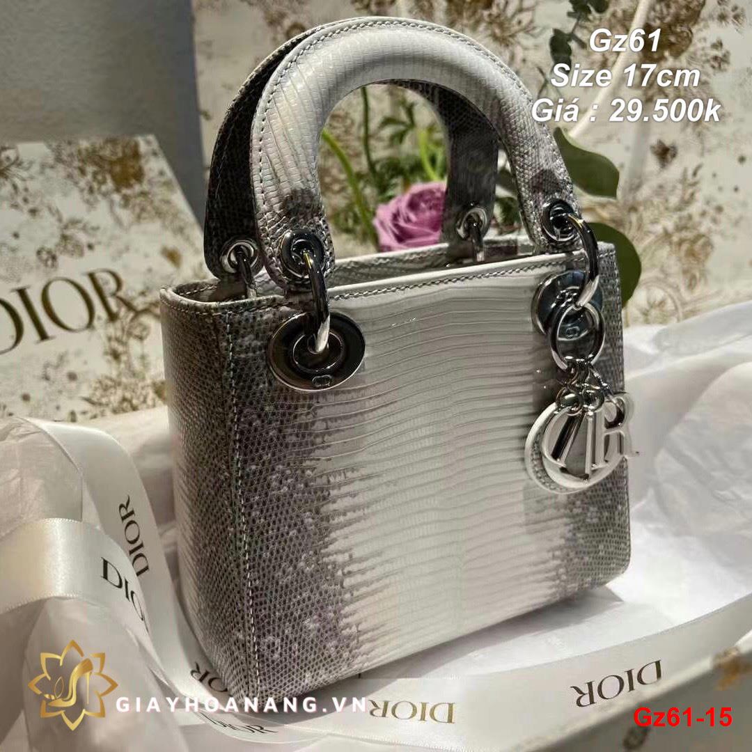 Gz61-15 Dior túi size 17cm siêu cấp