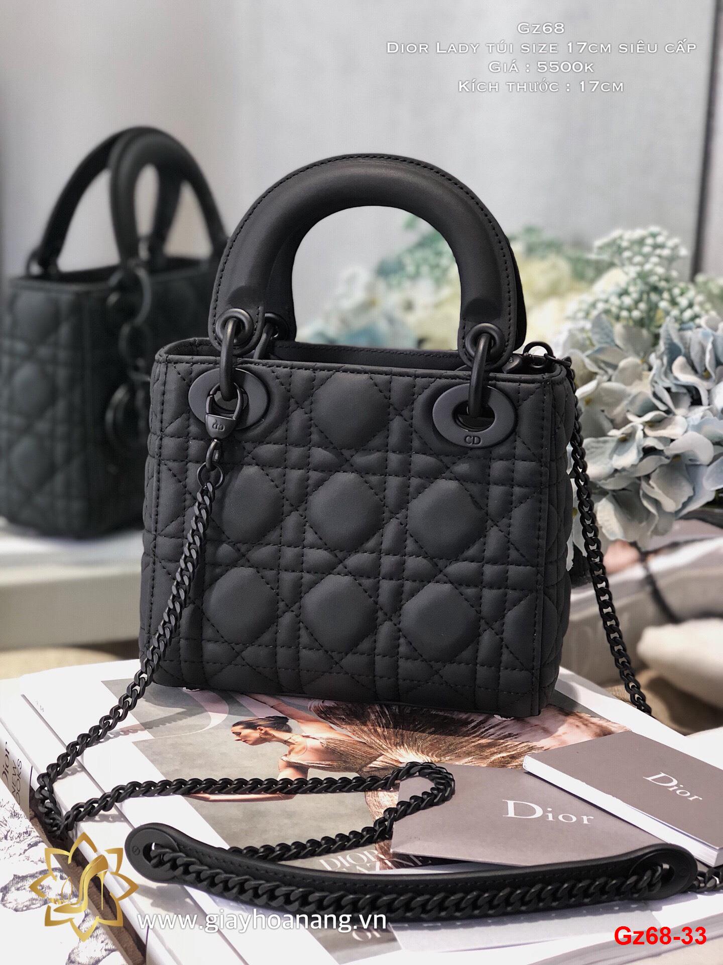 Gz68-33 Dior Lady Túi Size 17Cm Siêu Cấp Hoa Nắng - Chúng Tôi Tin Vào Sức  Mạnh Của Chất Lượng