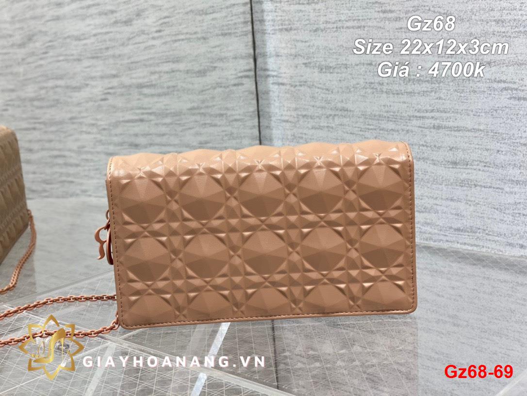 Gz68-69 Dior túi size 22cm siêu cấp