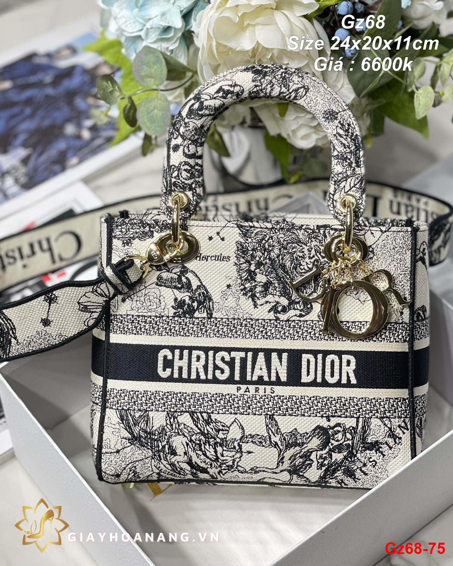 Gz68-75 Dior túi size 24cm siêu cấp