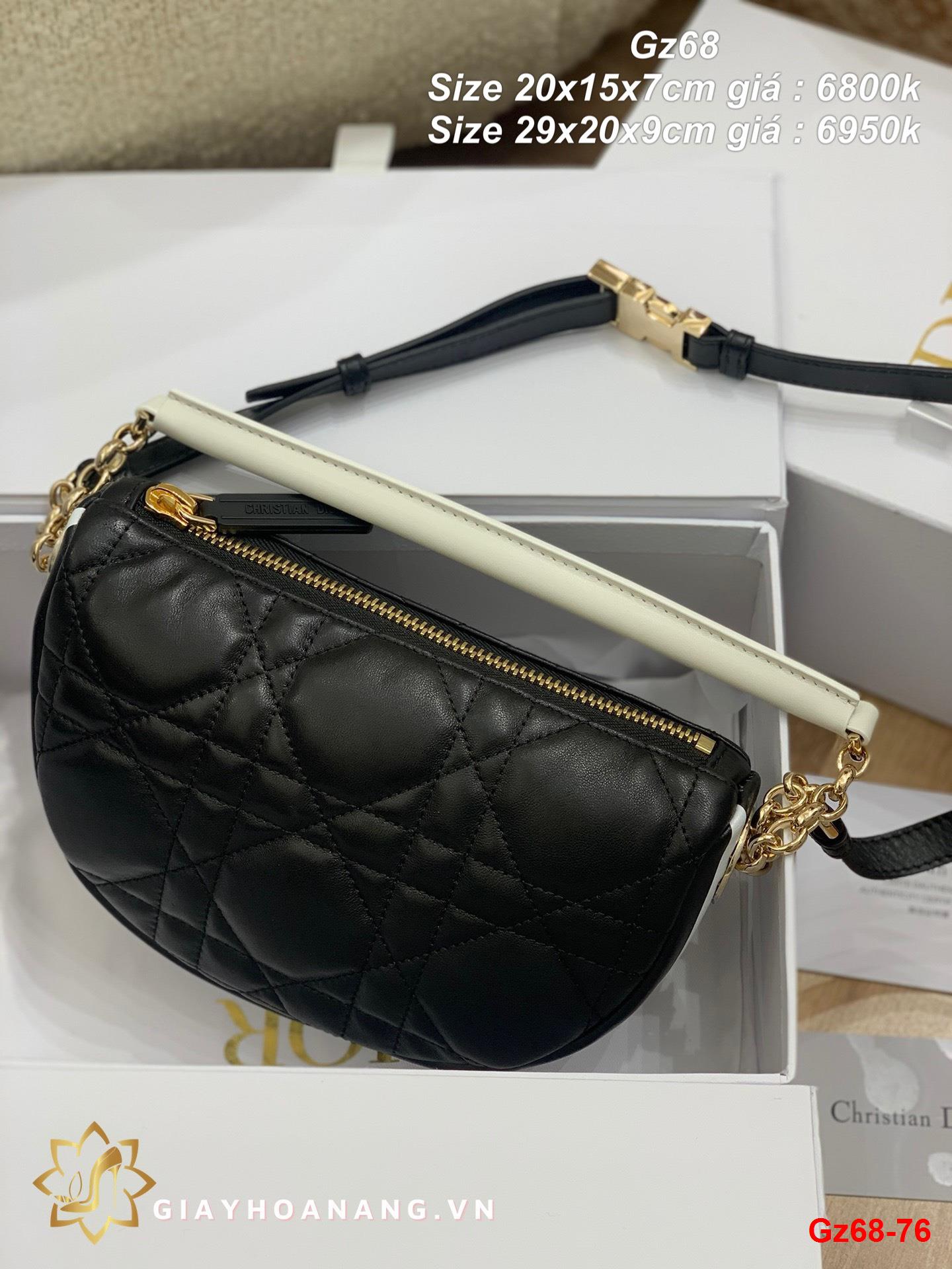 Gz68-76 Dior túi size 20cm , 29cm siêu cấp