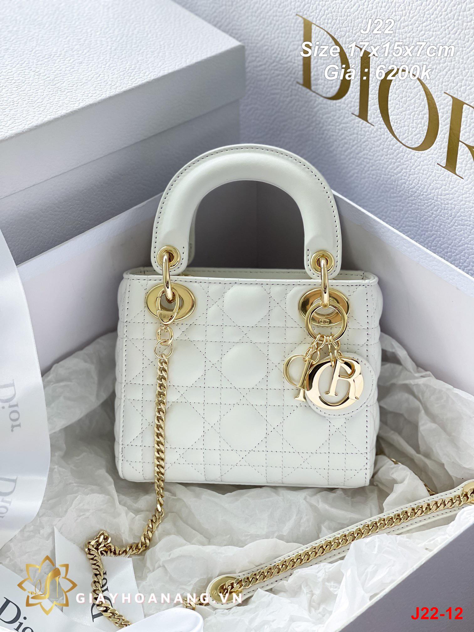 J22-12 Dior túi size 17cm siêu cấp