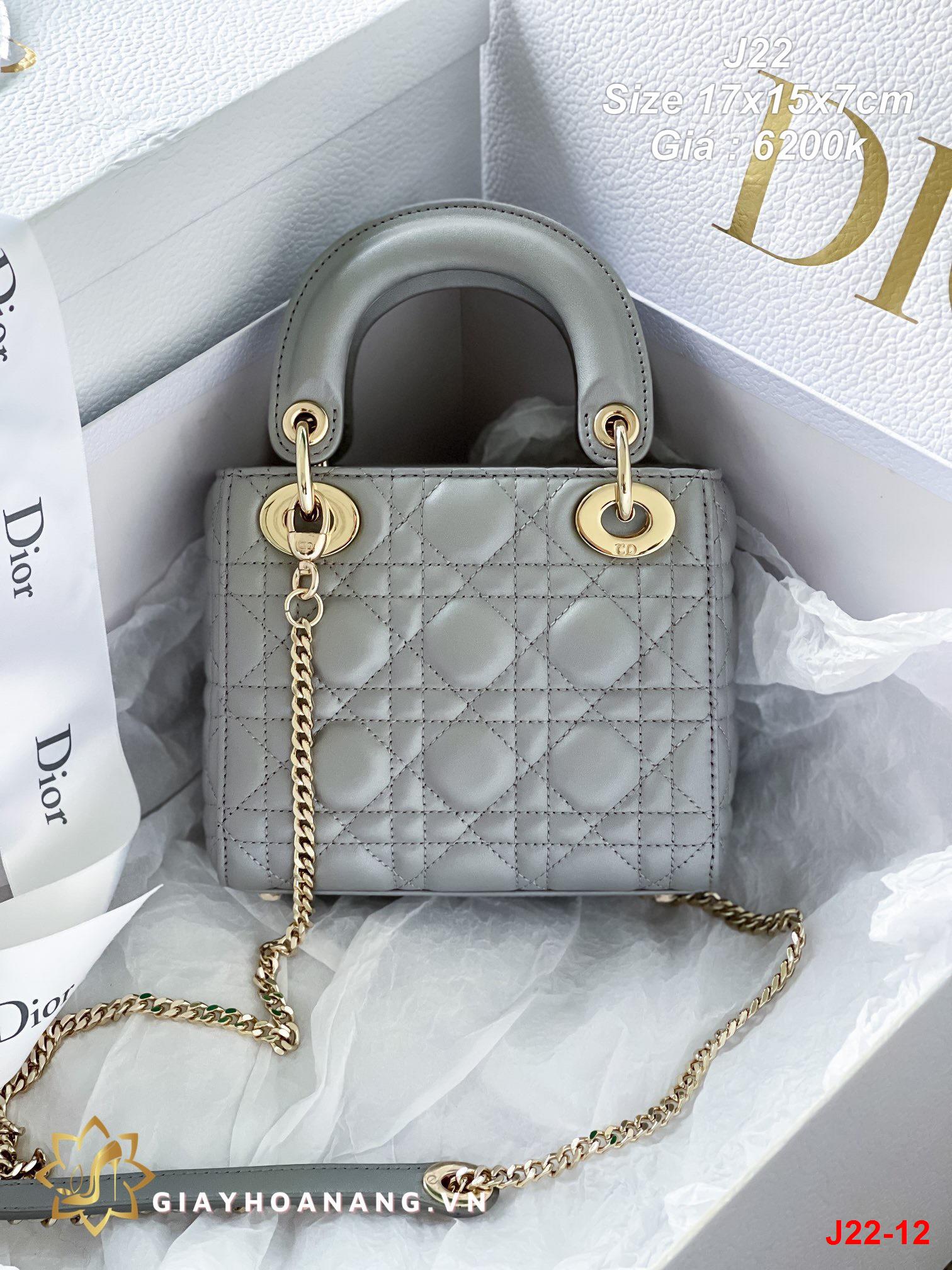 J22-12 Dior túi size 17cm siêu cấp