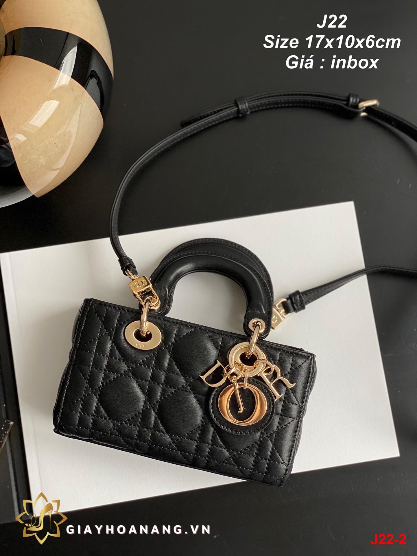 J22-2 Dior túi size 17cm siêu cấp