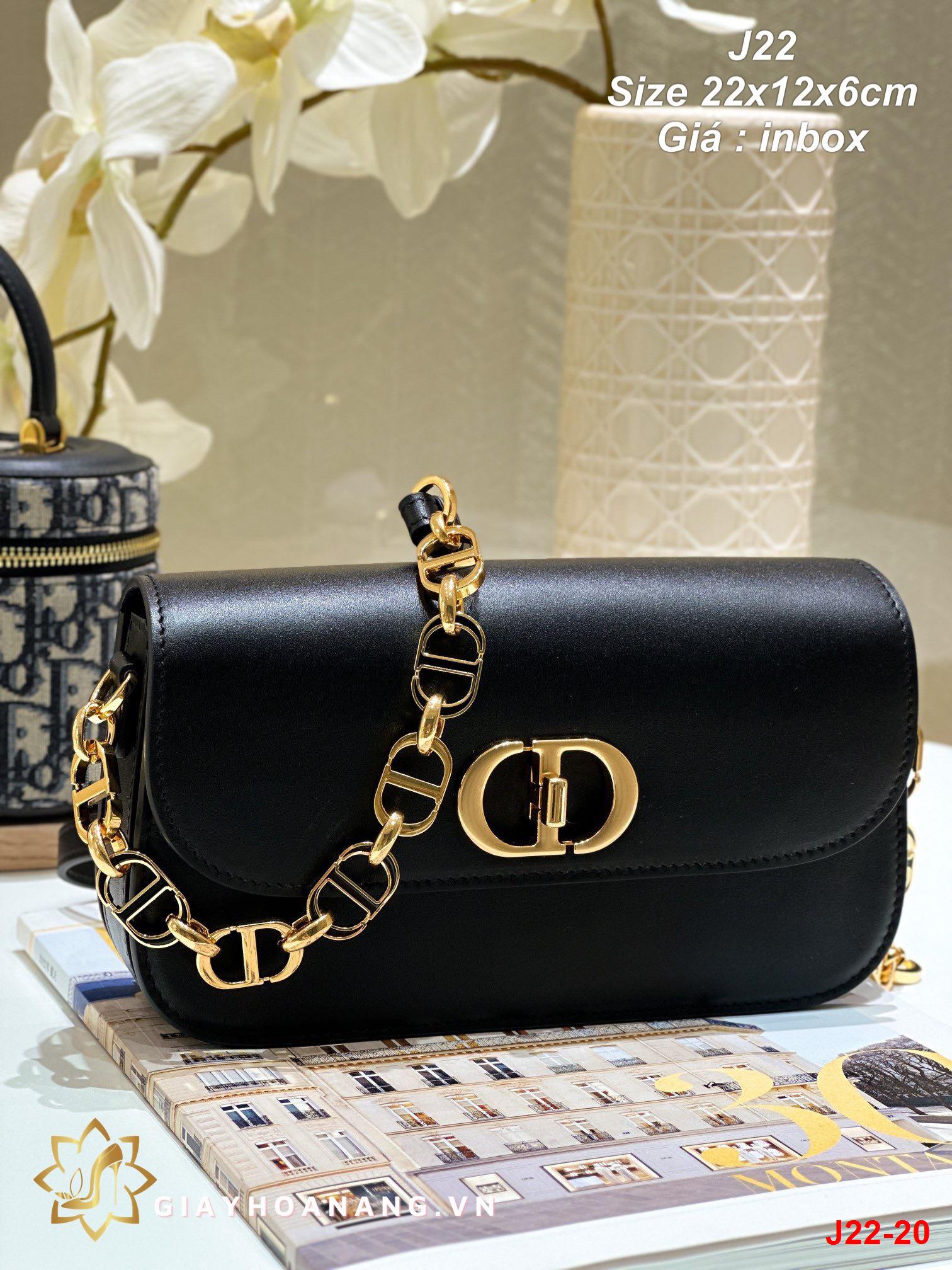 J22-20 Dior túi size 22cm siêu cấp