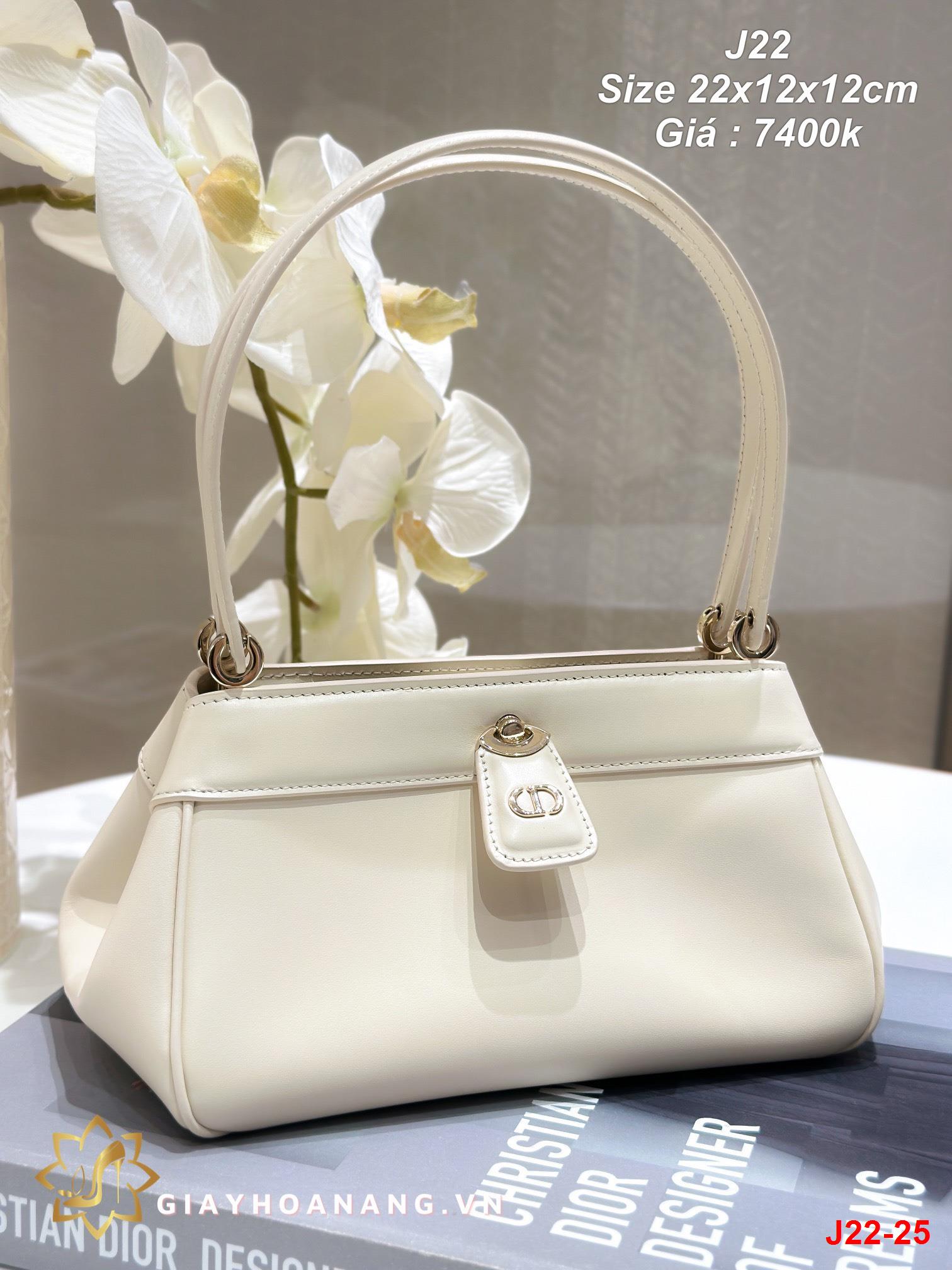 J22-25 Dior túi size 22cm siêu cấp