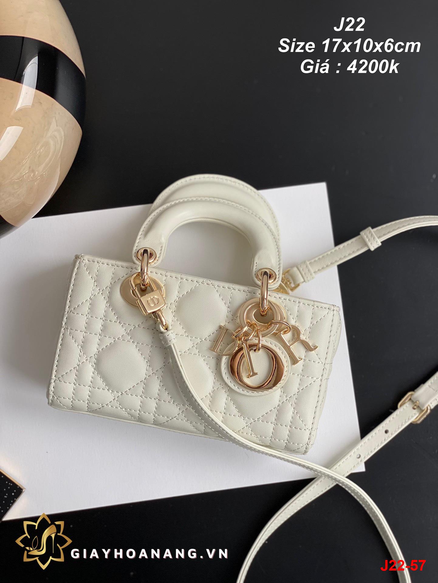 J22-57 Dior túi size 17cm siêu cấp