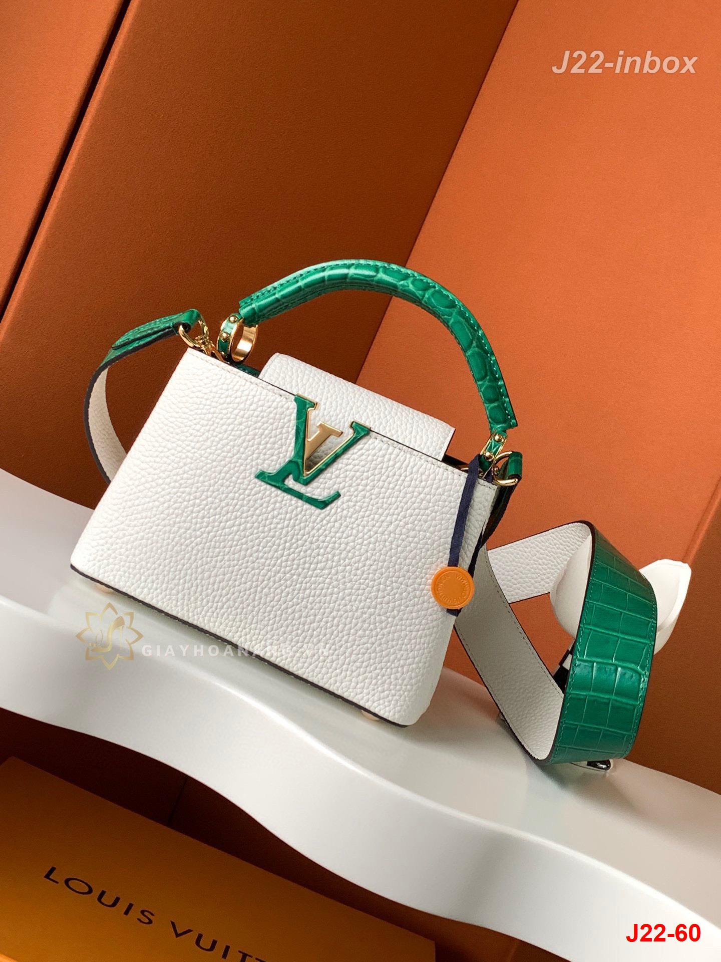 J22-60 Louis Vuitton túi siêu cấp