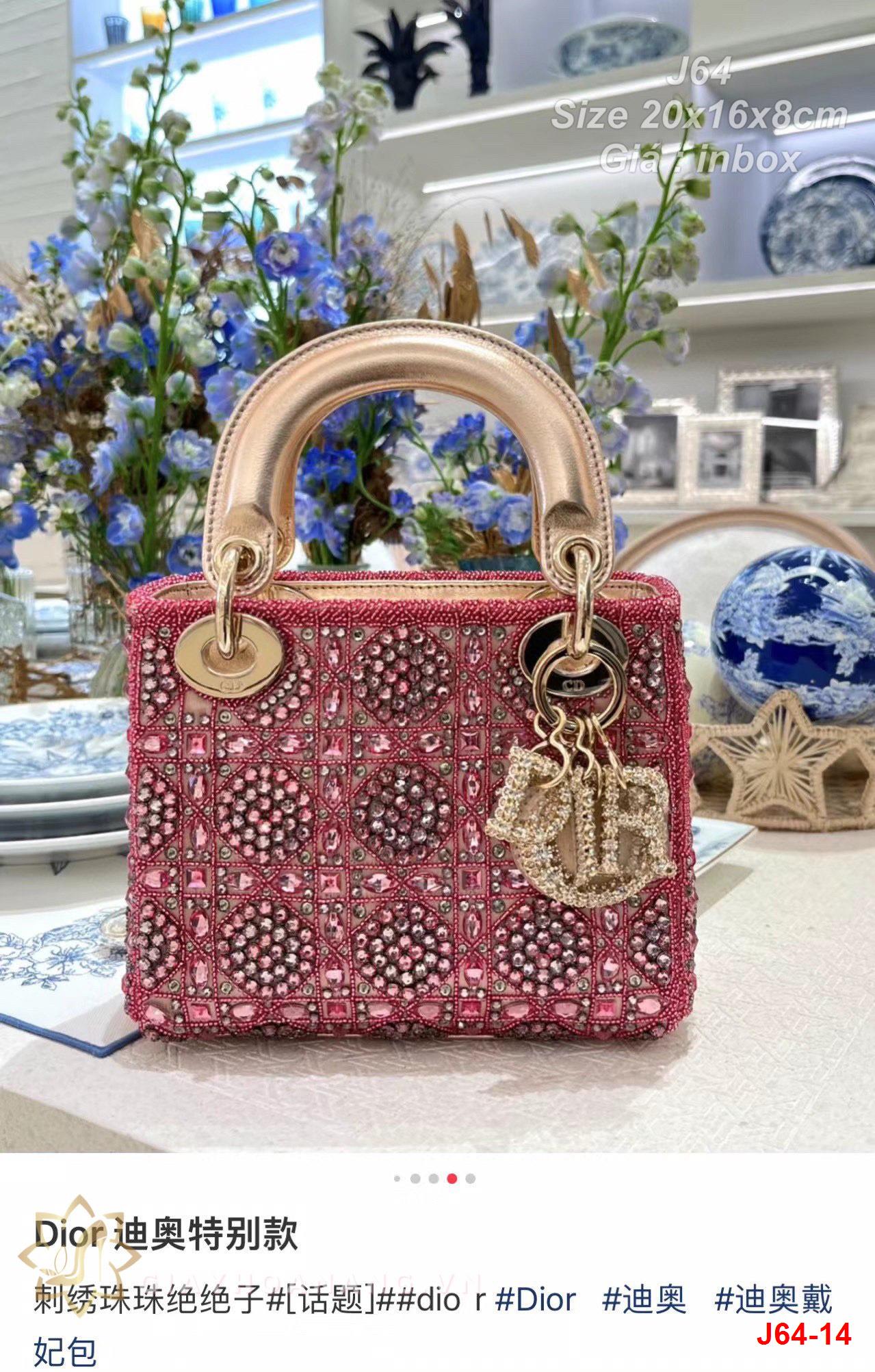 J64-14 Dior túi size 20cm siêu cấp