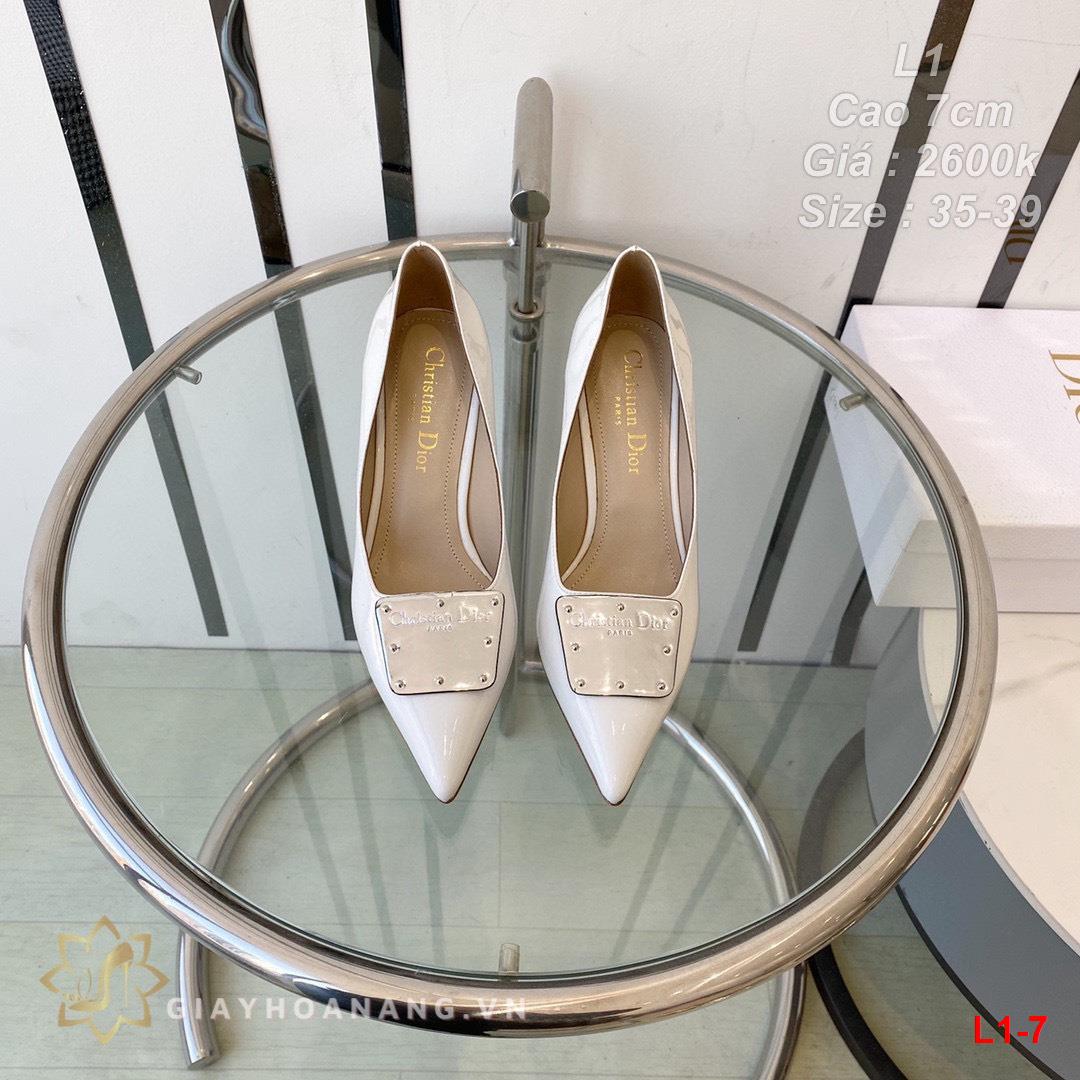 L1-7 Dior giày cao 7cm siêu cấp