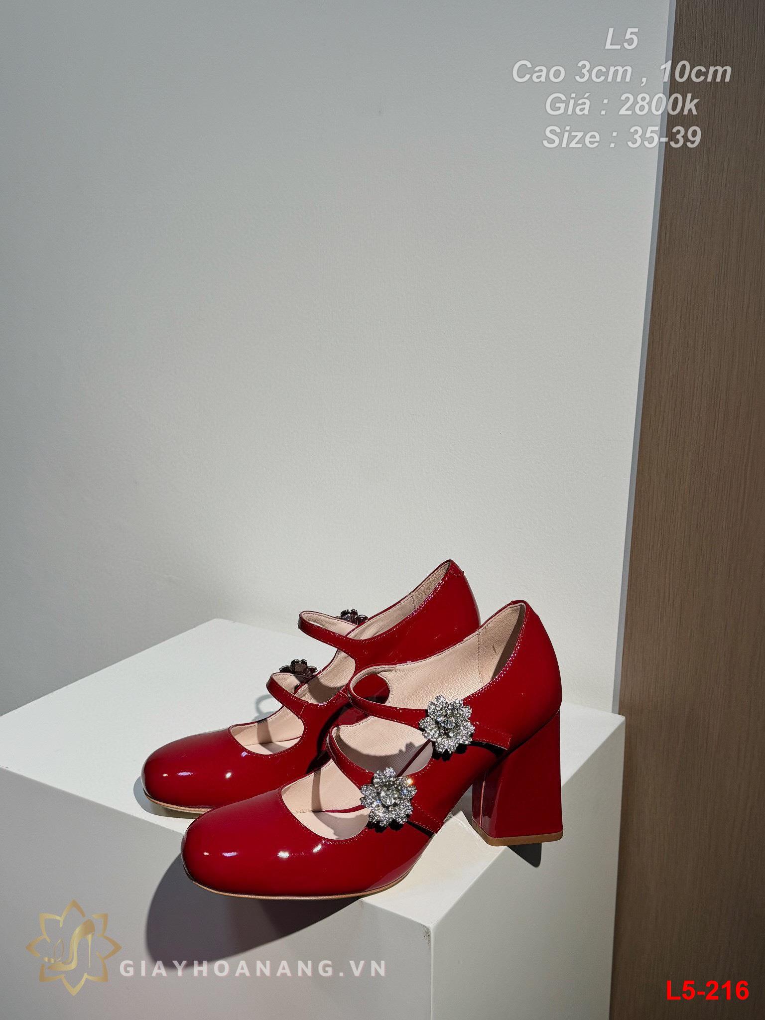 L5-216 Dior giày cao 3cm , 10cm siêu cấp