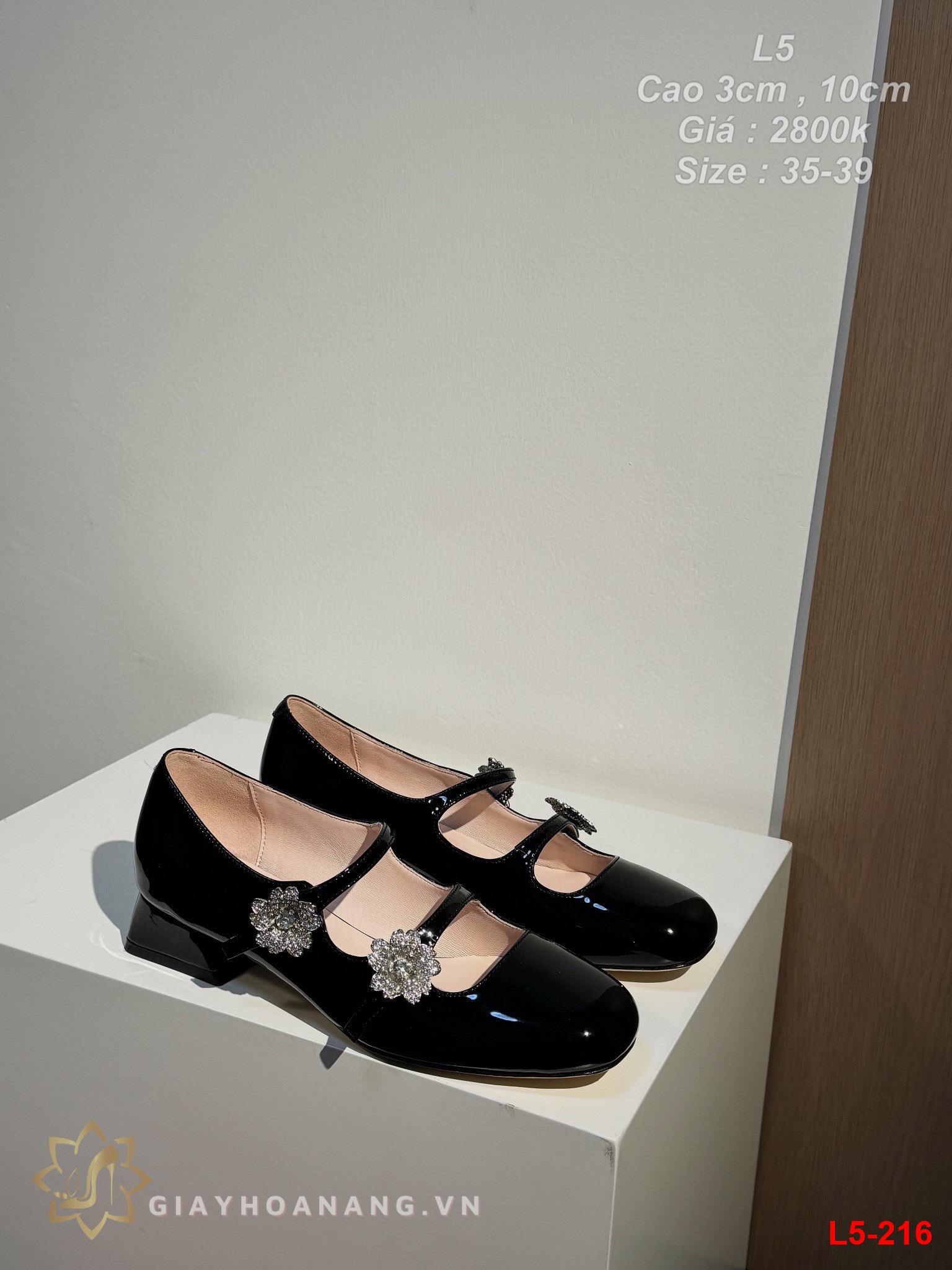 L5-216 Dior giày cao 3cm , 10cm siêu cấp
