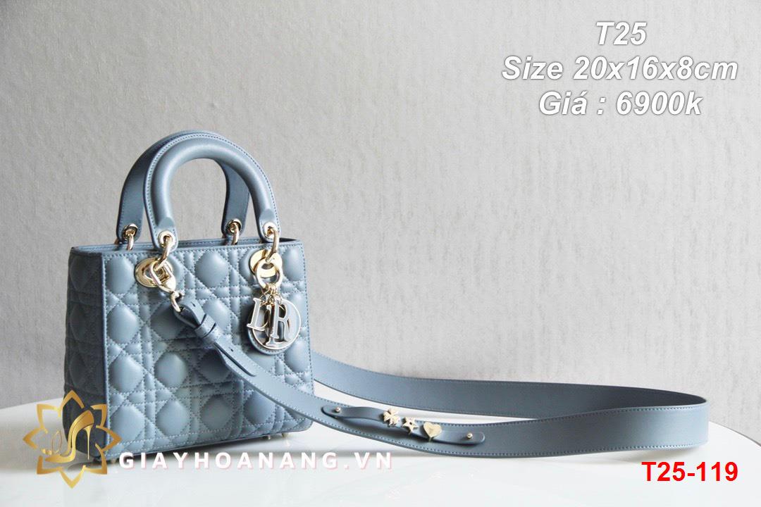 T25-119 Dior túi size 20cm siêu cấp