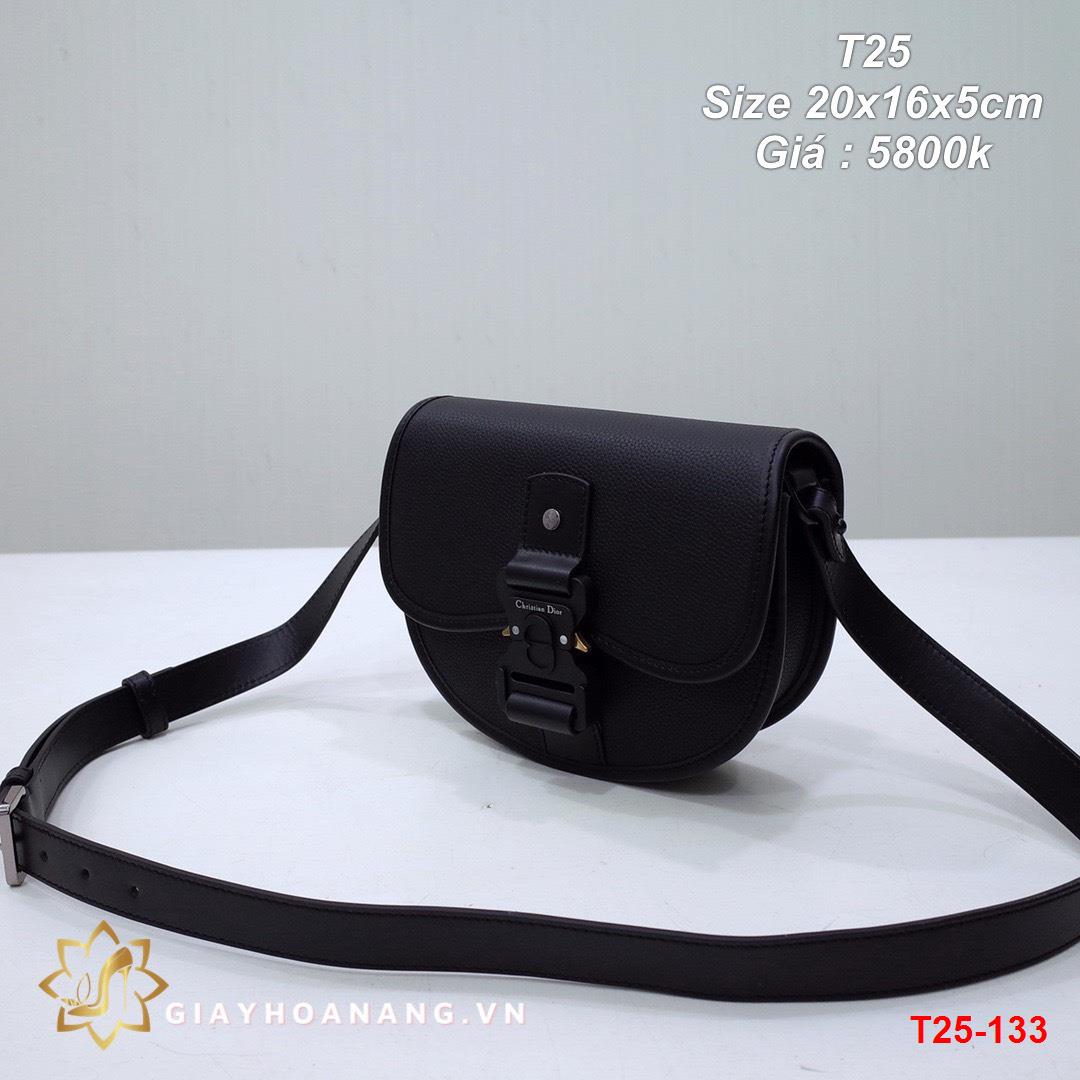 T25-133 Dior túi size 20cm siêu cấp