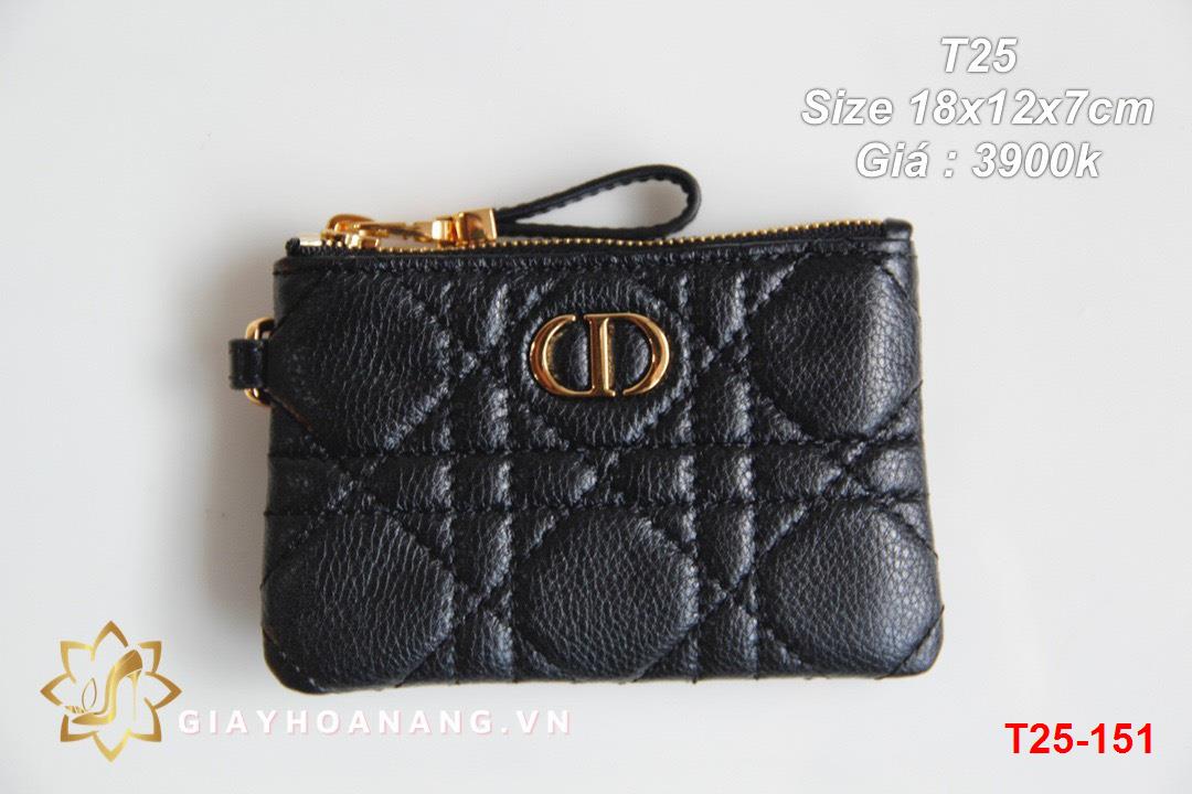 T25-151 Dior túi size 18cm siêu cấp