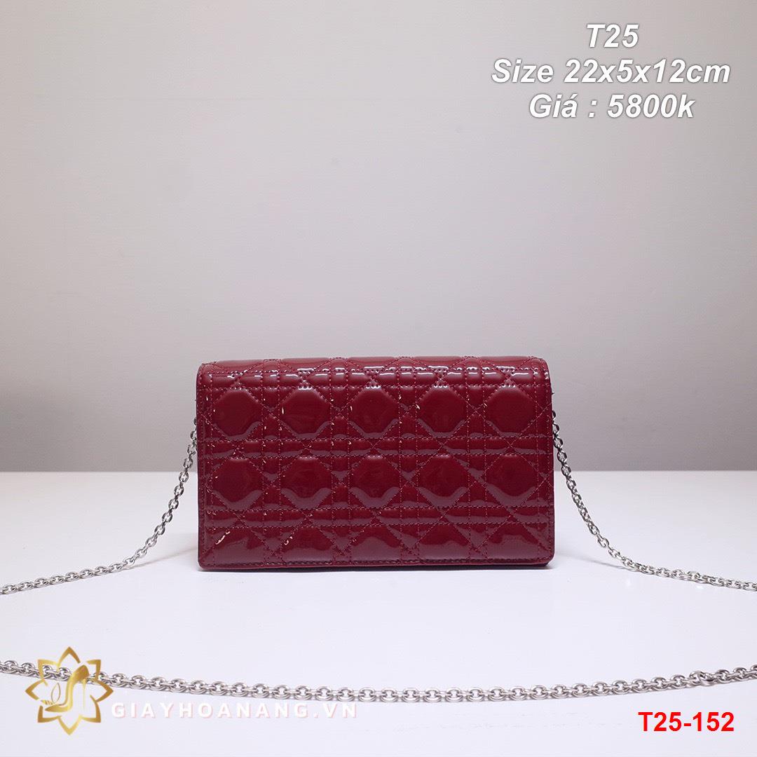 T25-152 Dior túi size 22cm siêu cấp