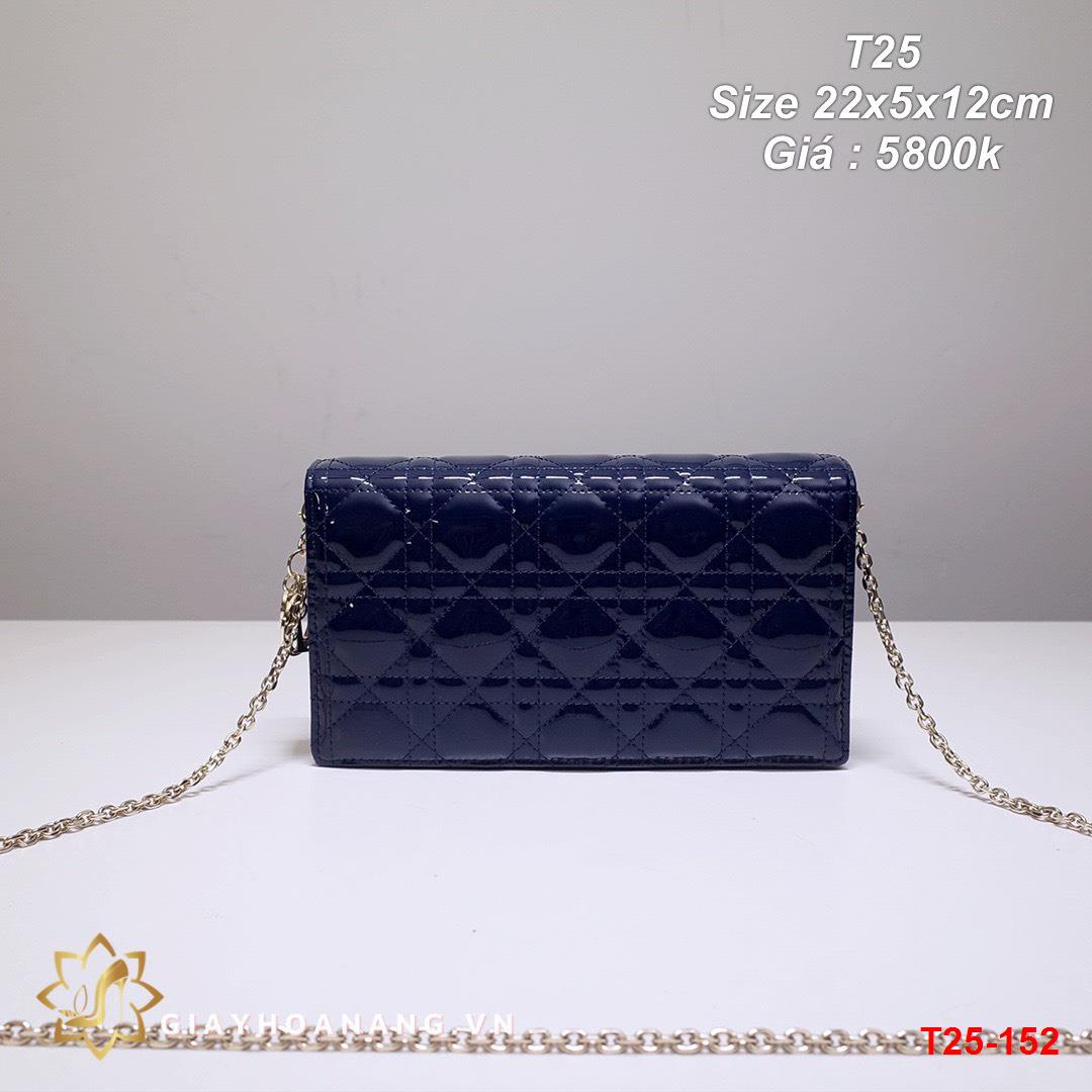 T25-152 Dior túi size 22cm siêu cấp