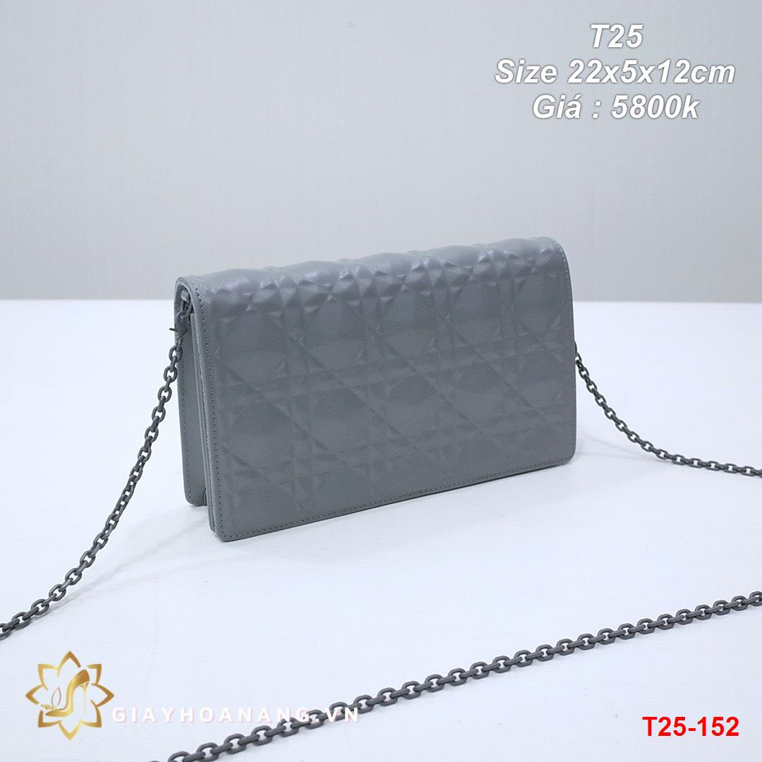 T25-152 Dior túi size 22cm siêu cấp