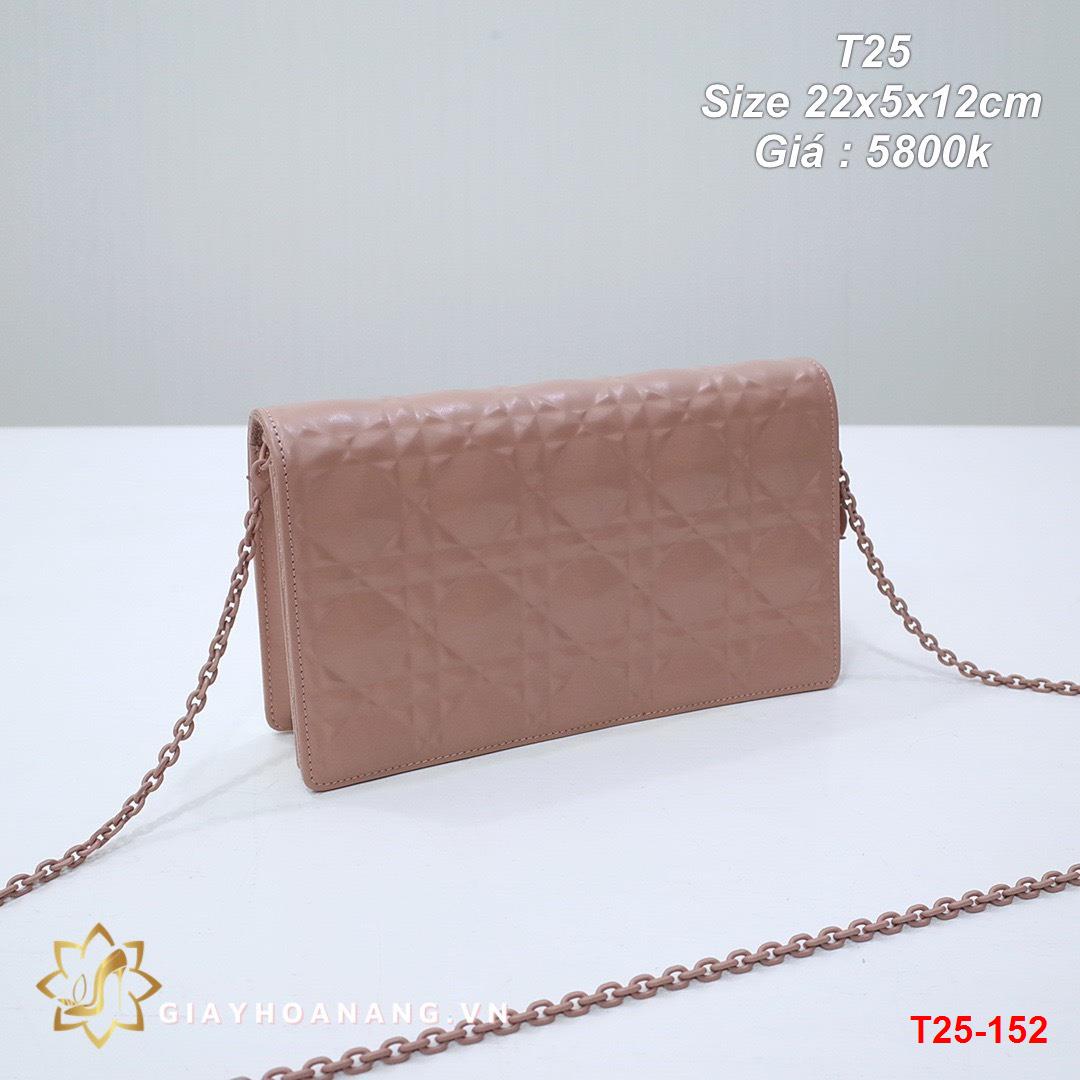 T25-152 Dior túi size 22cm siêu cấp