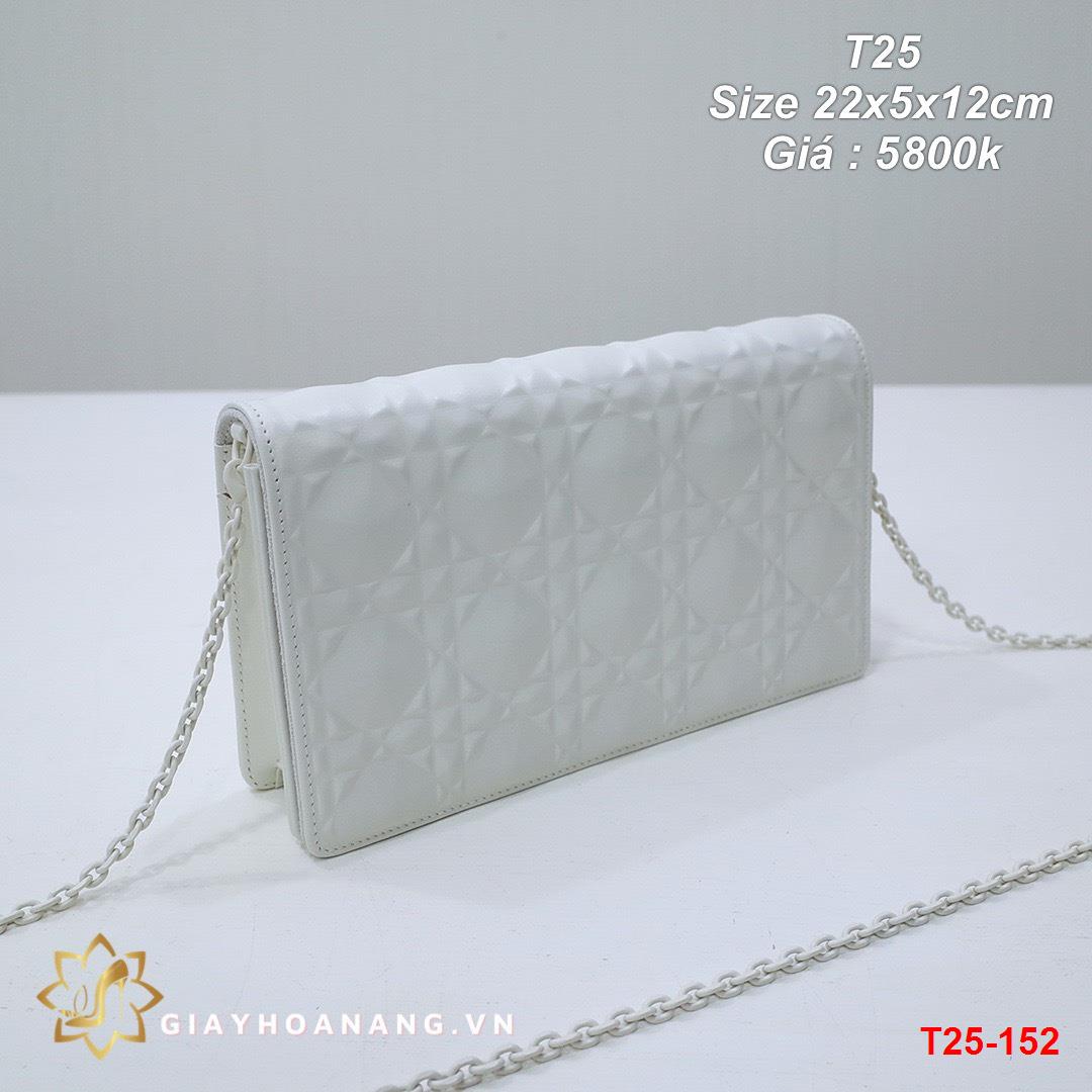 T25-152 Dior túi size 22cm siêu cấp