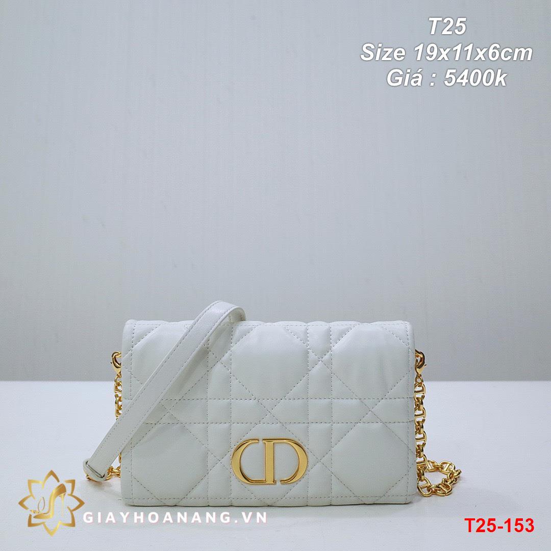 T25-153 Dior túi size 19cm siêu cấp