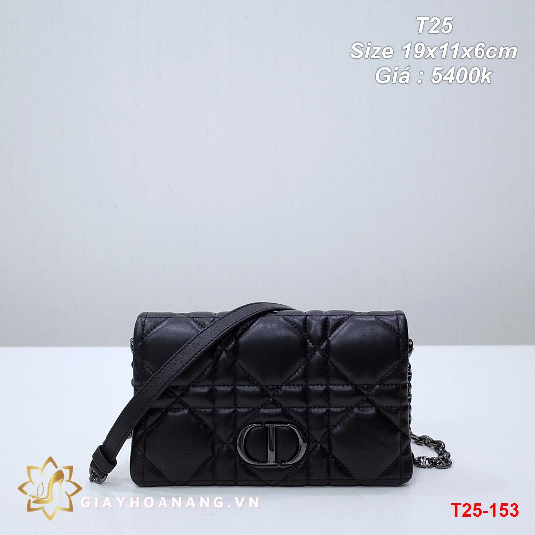 T25-153 Dior túi size 19cm siêu cấp