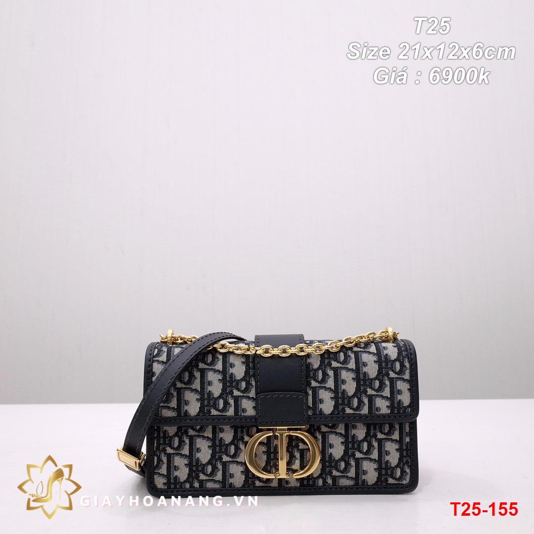 T25-155 Dior túi size 21cm siêu cấp