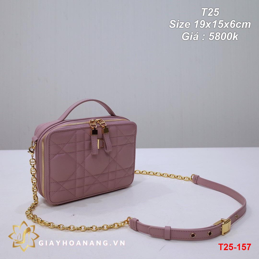 T25-157 Dior túi size 19cm siêu cấp