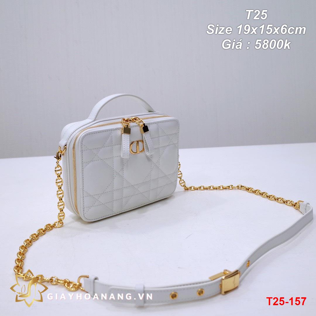 T25-157 Dior túi size 19cm siêu cấp