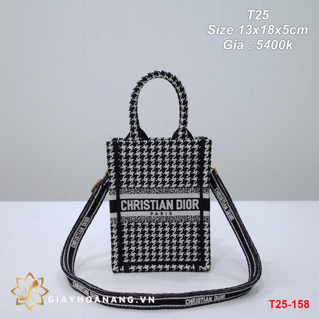 T25-158 Dior túi size 13cm siêu cấp