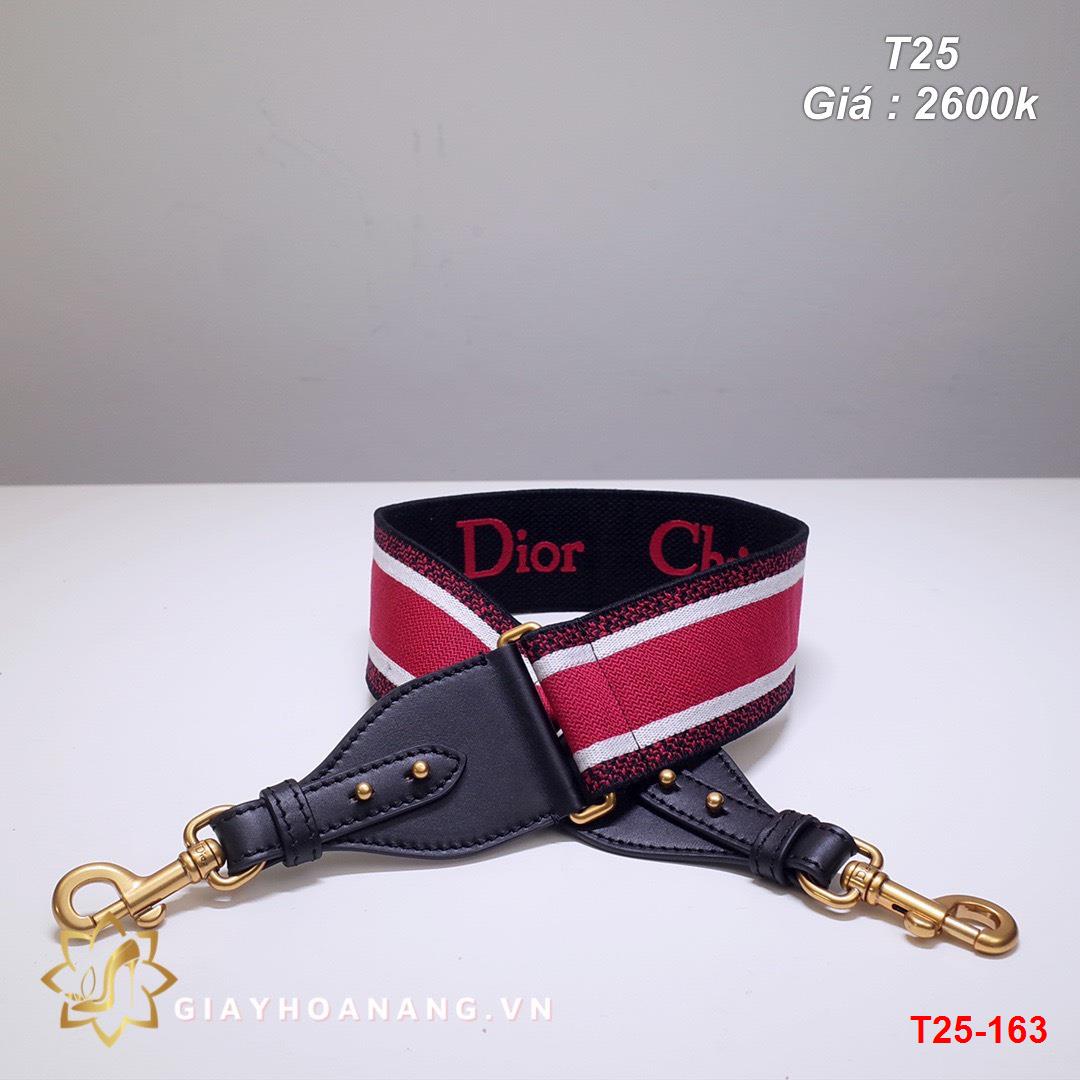 T25-163 Dior dây túi siêu cấp