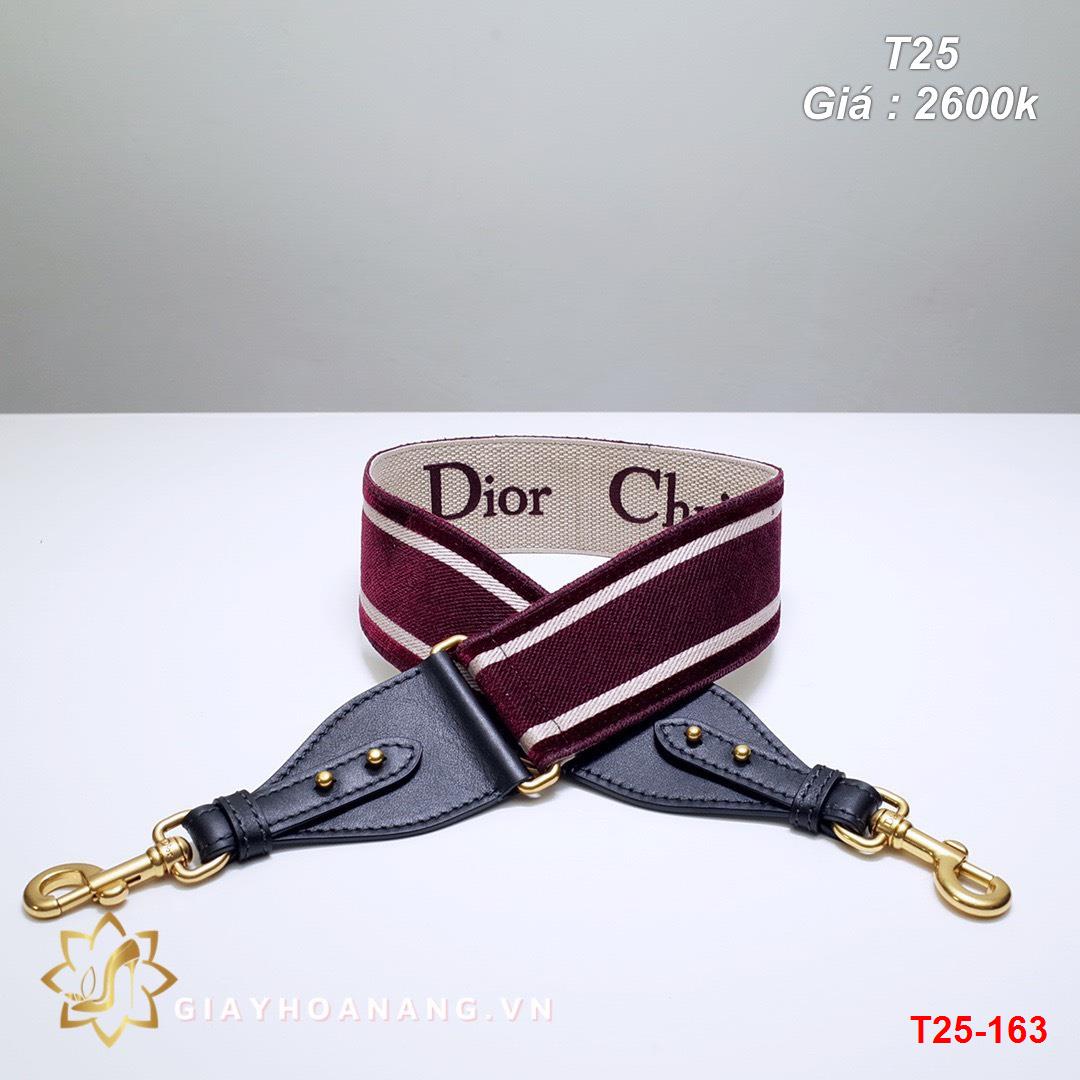 T25-163 Dior dây túi siêu cấp