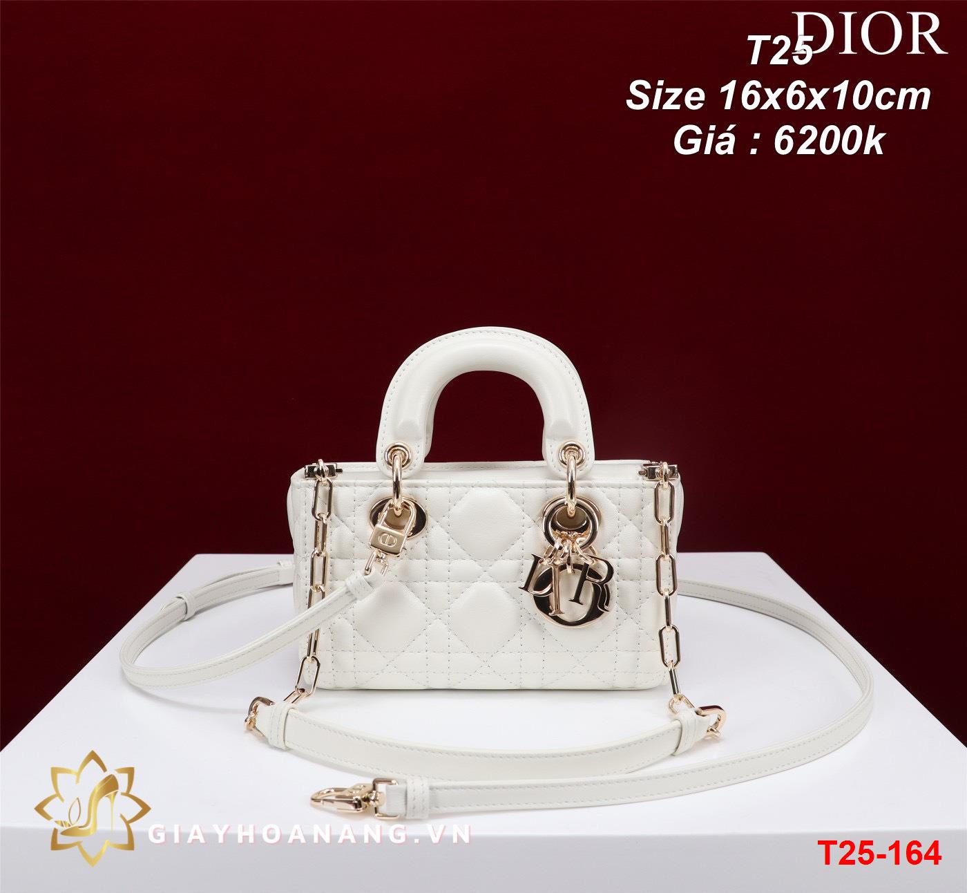 T25-164 Dior túi size 16cm siêu cấp