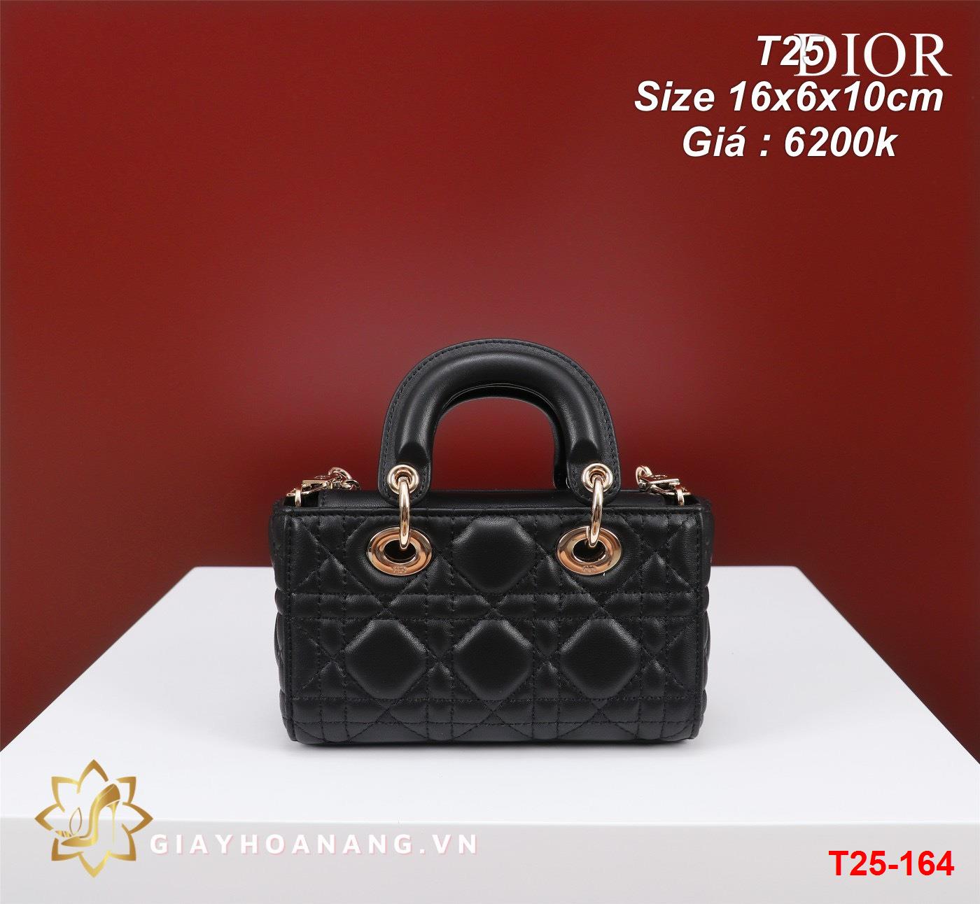 T25-164 Dior túi size 16cm siêu cấp