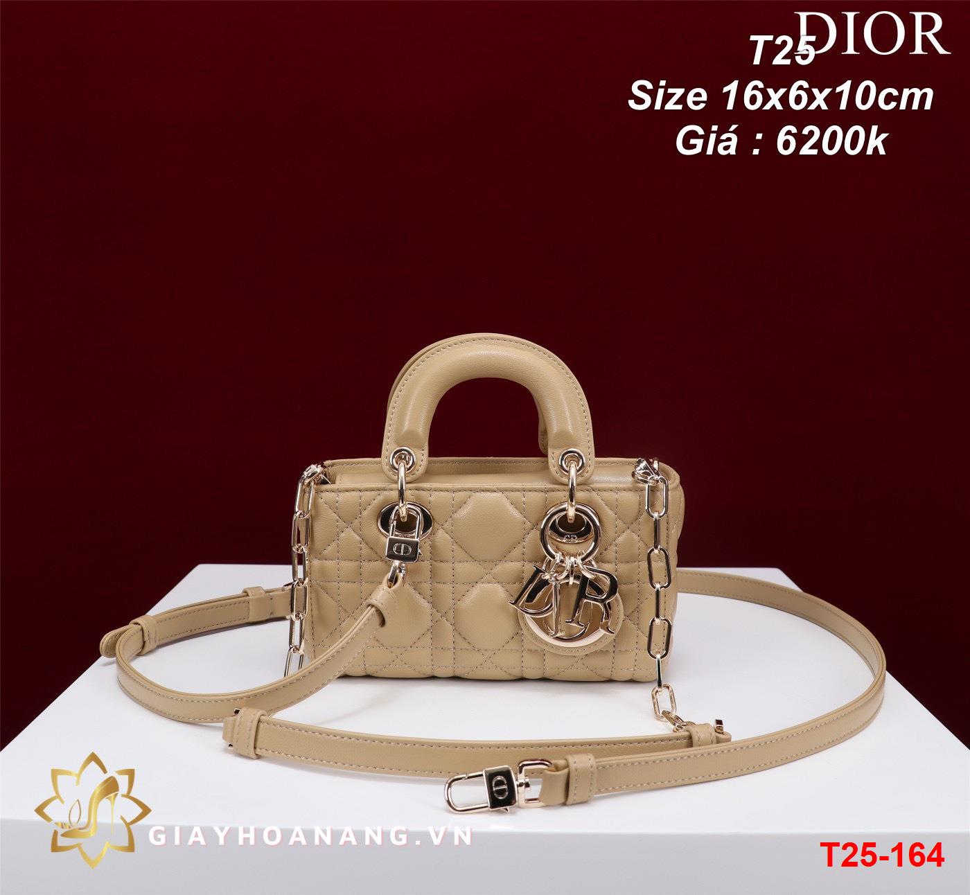 T25-164 Dior túi size 16cm siêu cấp