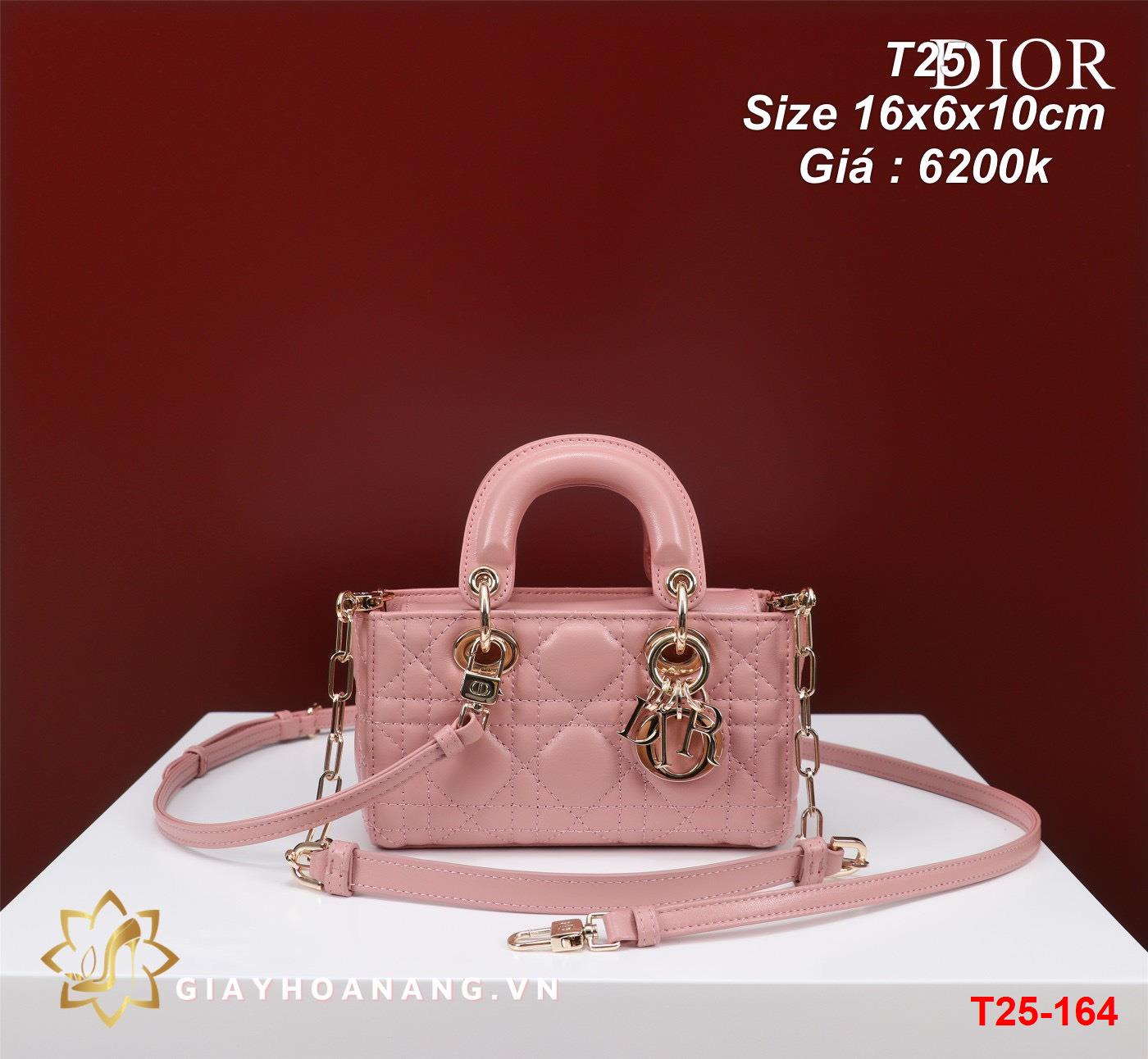 T25-164 Dior túi size 16cm siêu cấp