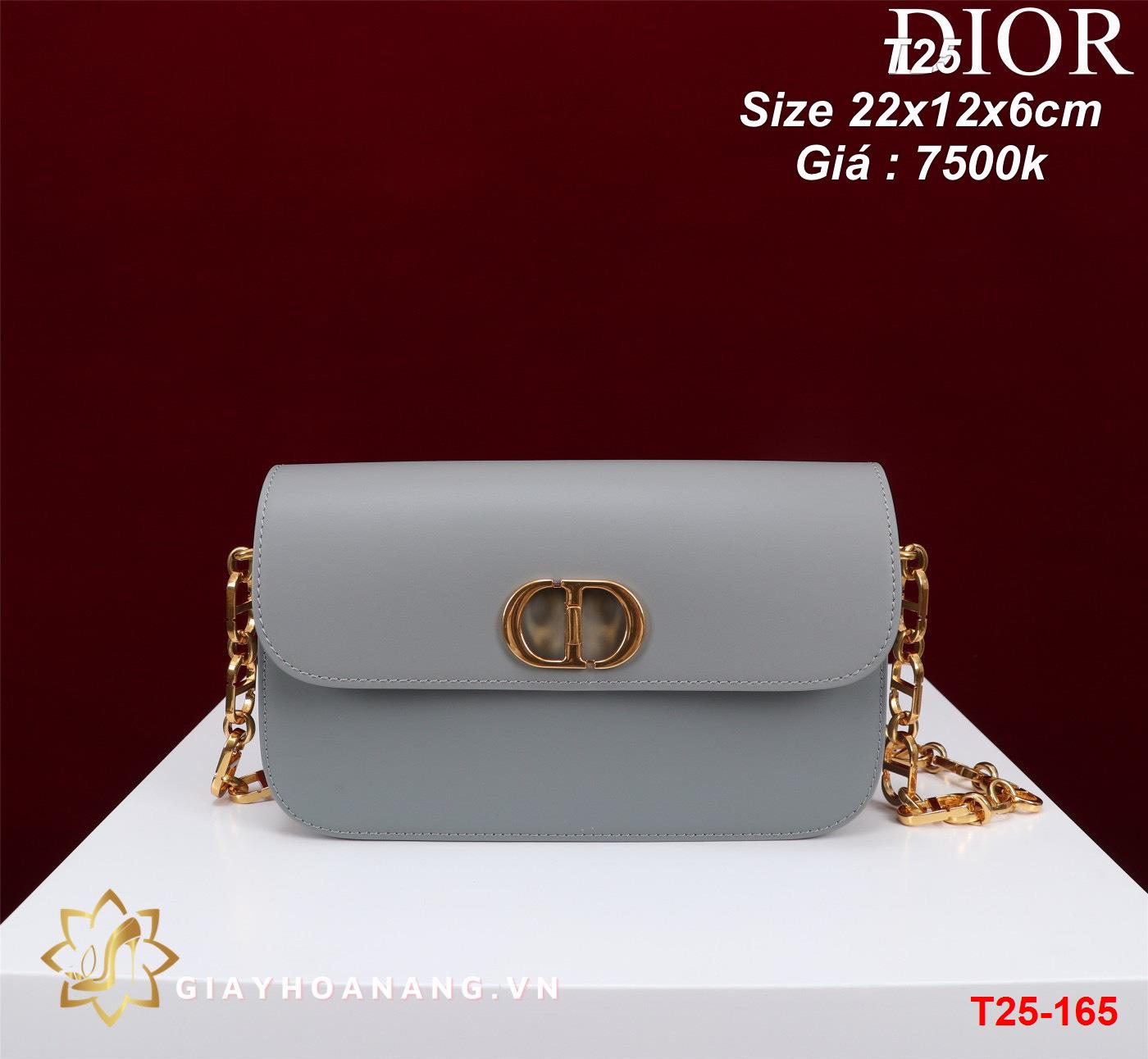 T25-165 Dior túi size 22cm siêu cấp