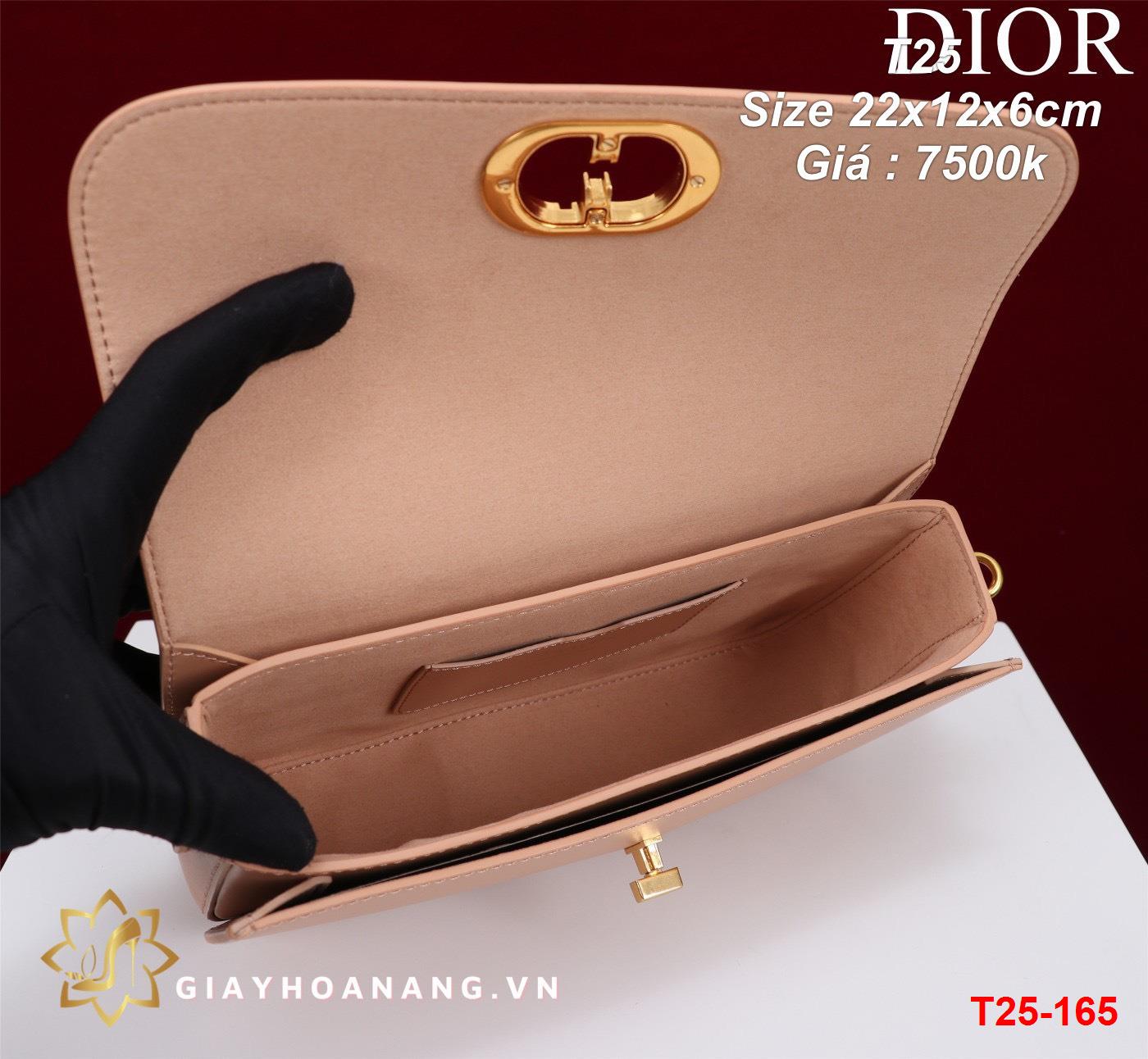 T25-165 Dior túi size 22cm siêu cấp