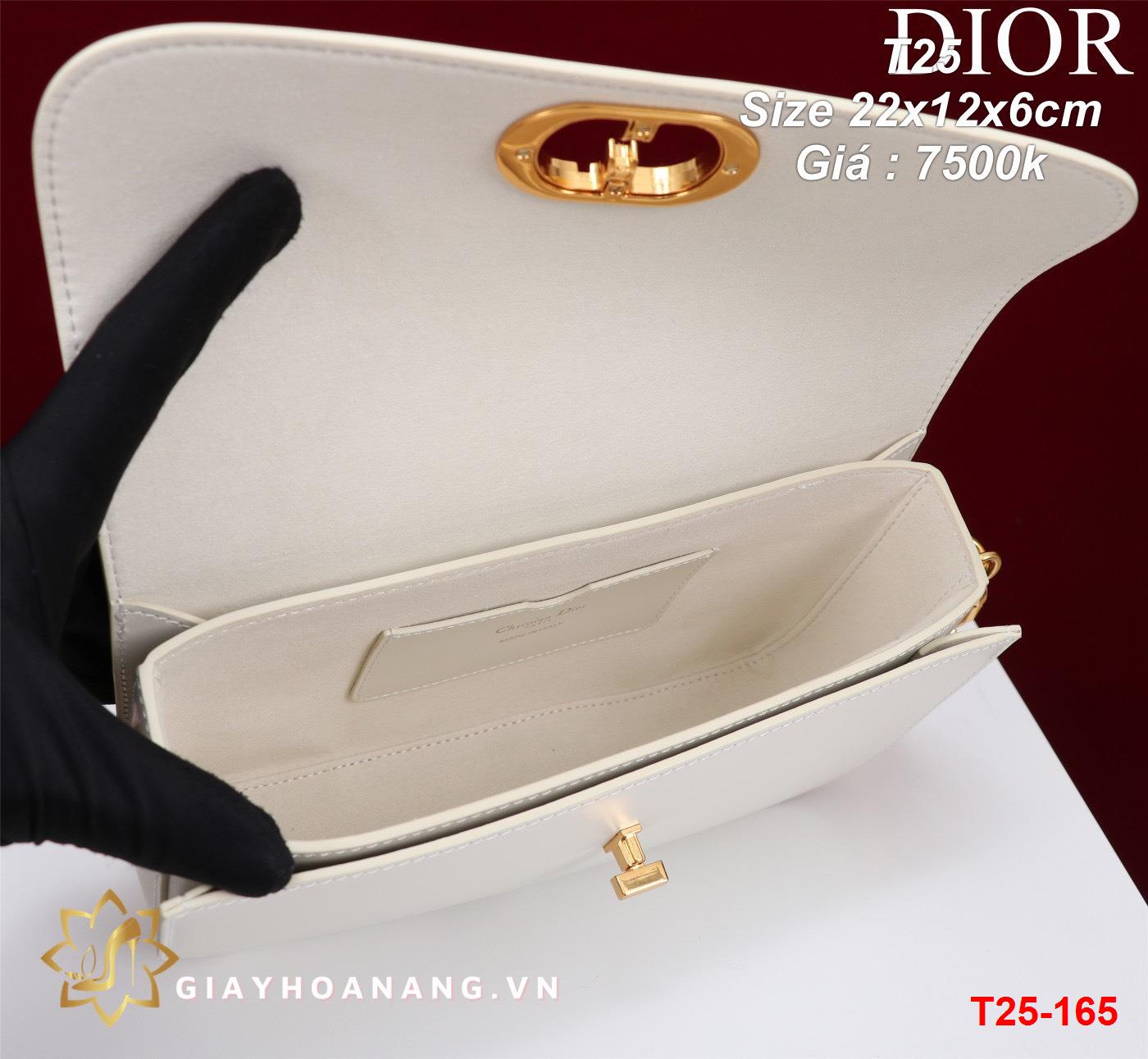 T25-165 Dior túi size 22cm siêu cấp