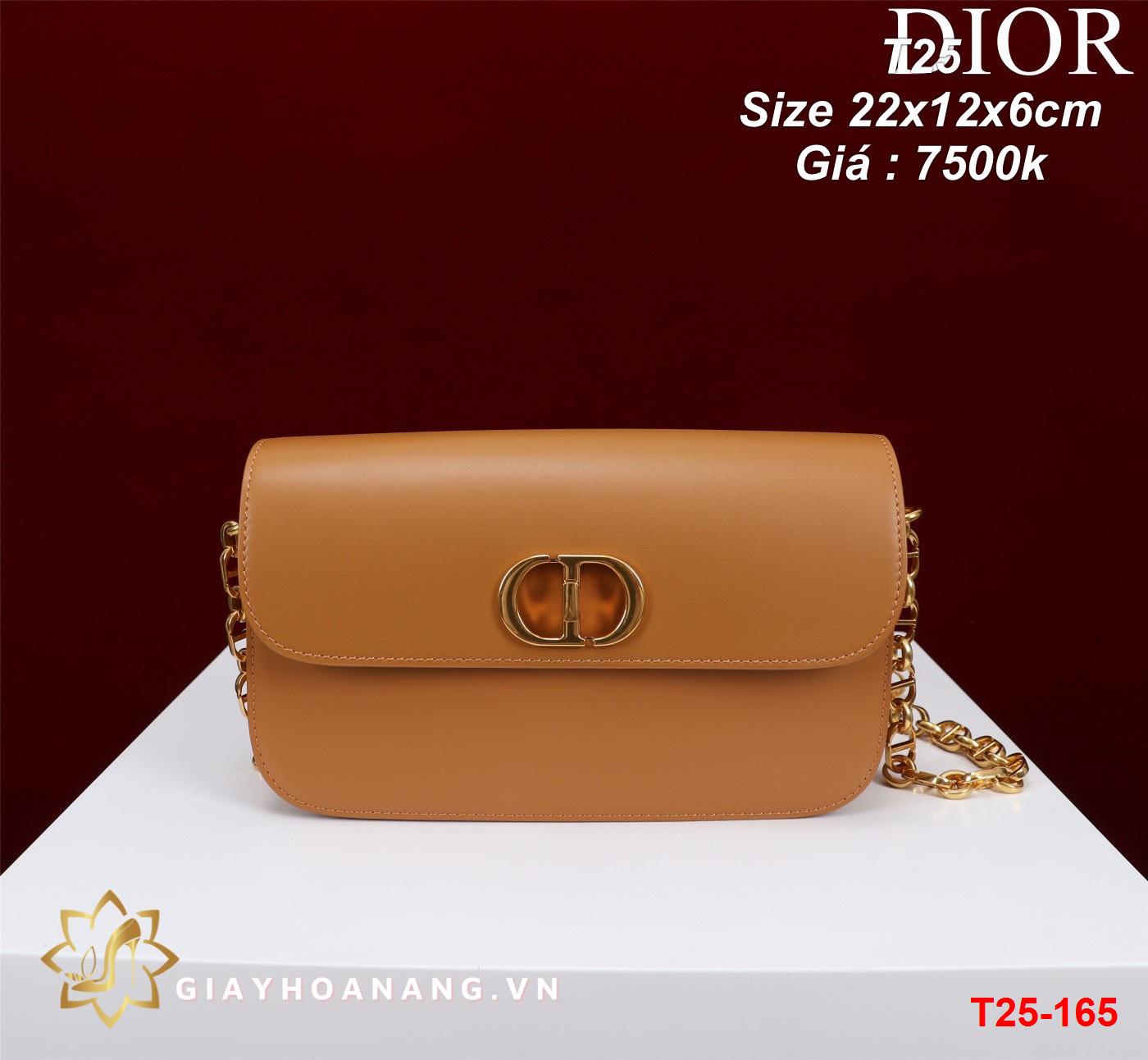 T25-165 Dior túi size 22cm siêu cấp