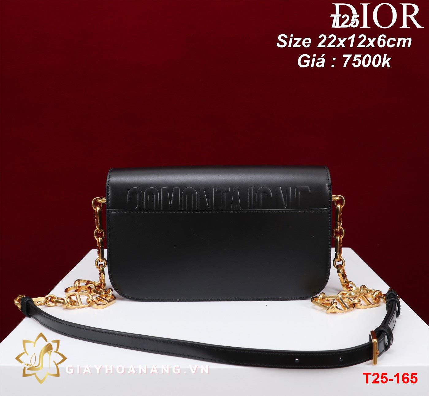 T25-165 Dior túi size 22cm siêu cấp