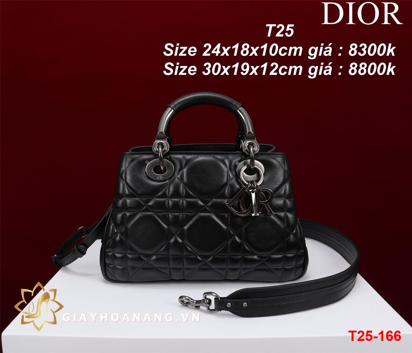 T25-166 Dior túi size 24cm , 30cm siêu cấp